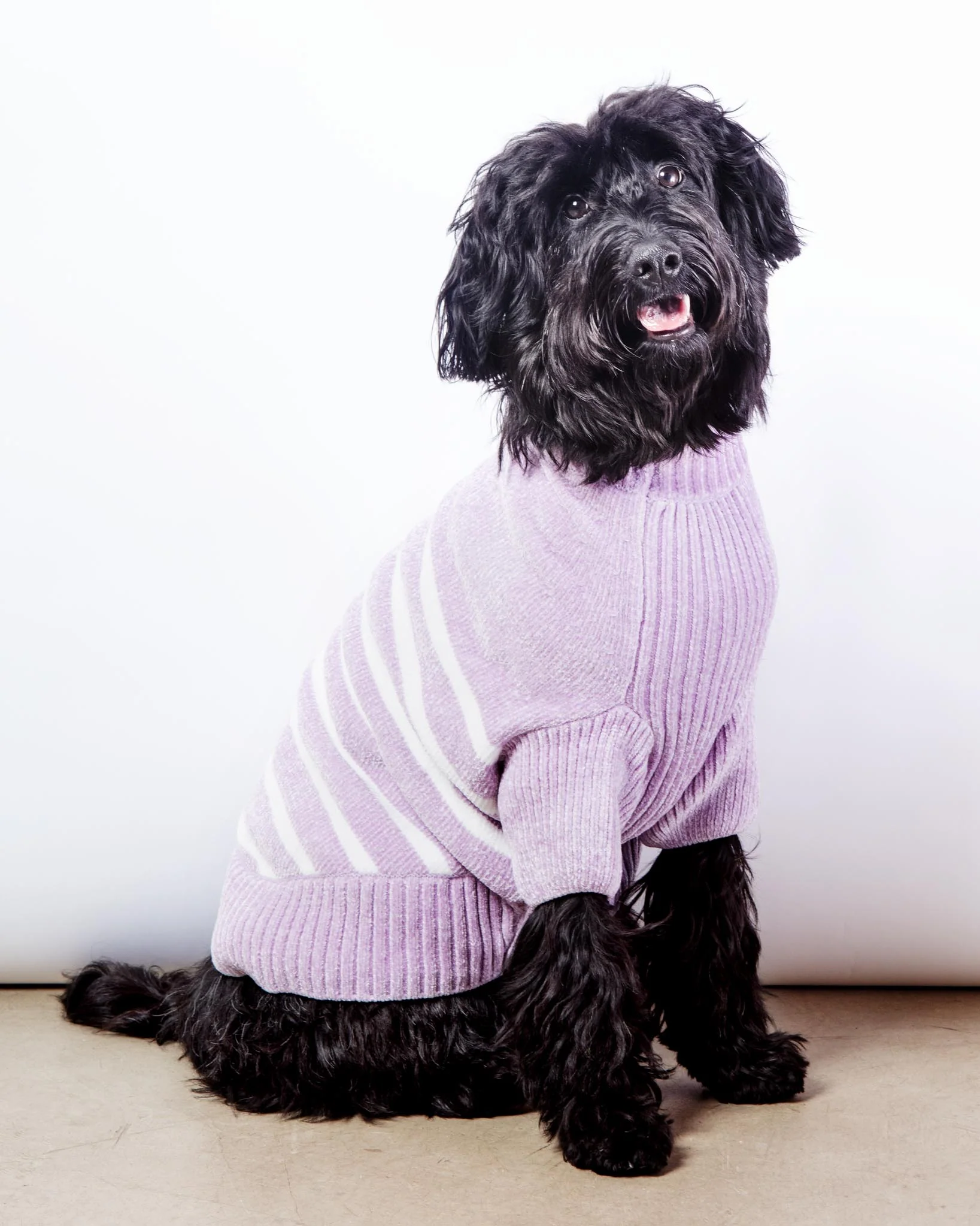 Cozy Soft Chenille Striped Dog Sweater in Lavender Frost (FINAL SALE) - Image 2