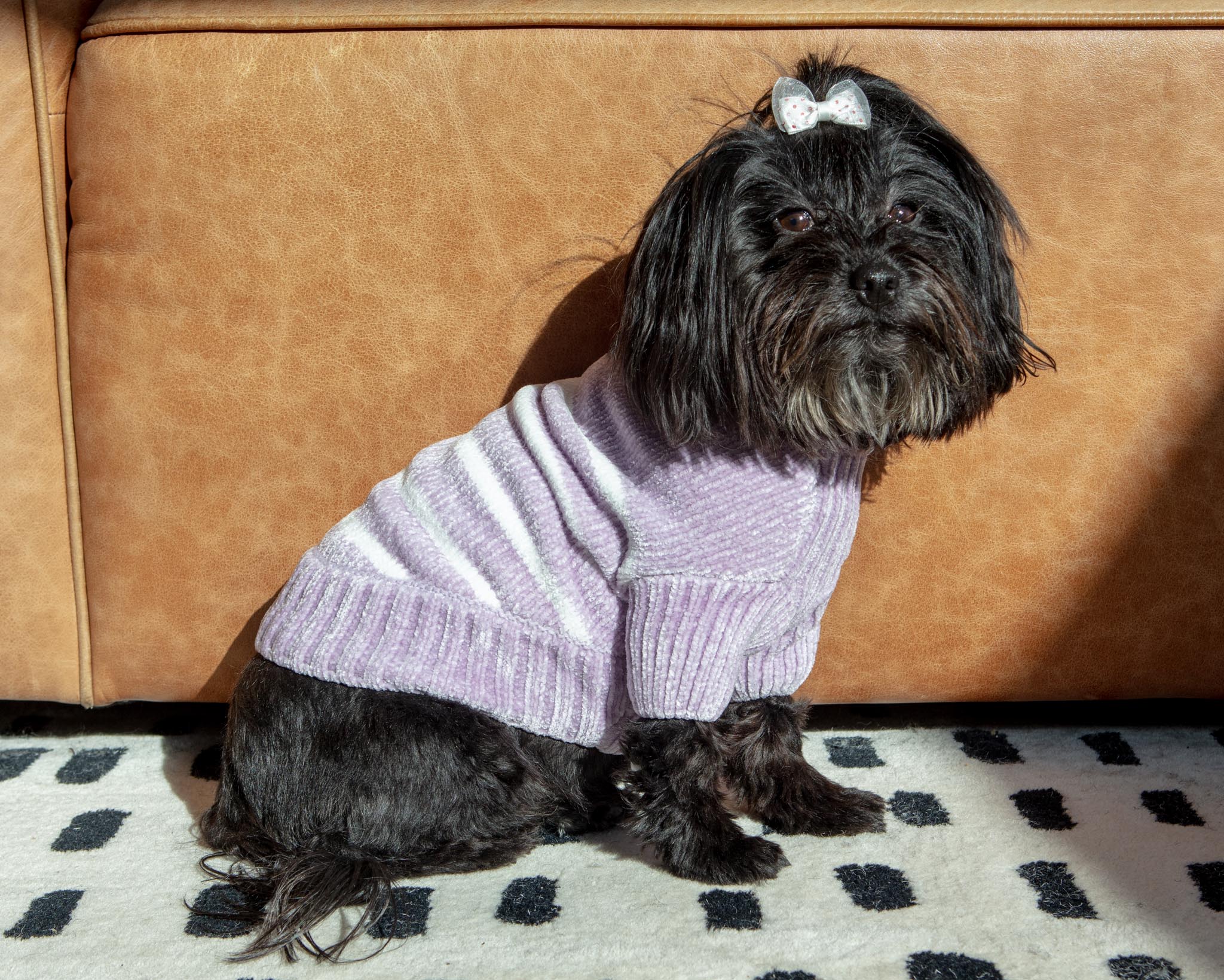 Cozy Soft Chenille Striped Dog Sweater in Lavender Frost (FINAL SALE) - Image 8