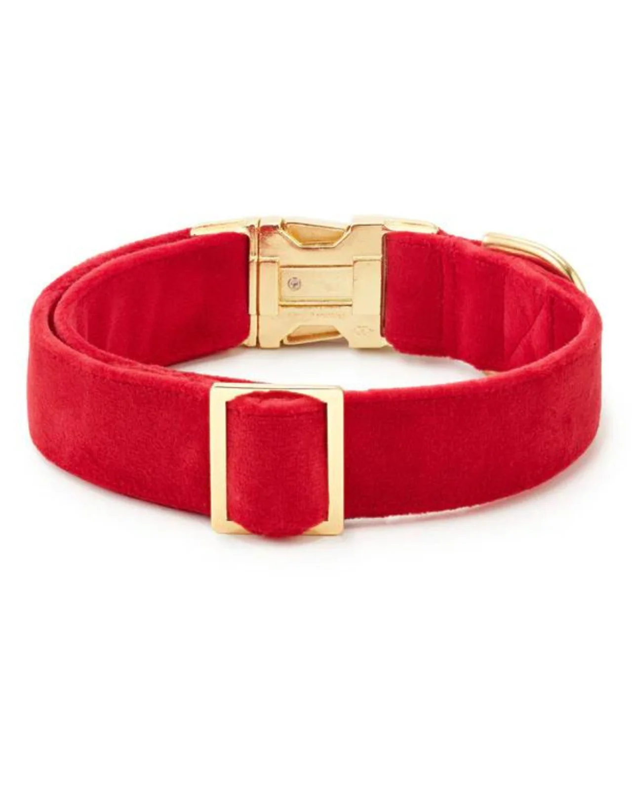 Cranberry Velvet Dog Collar (FINAL SALE) - Image 3