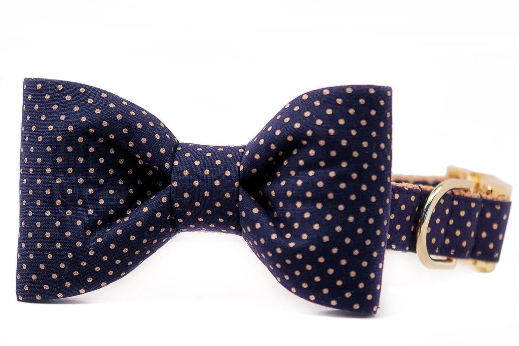 CREW LA LA | Navy & Gold Dot Bow Tie