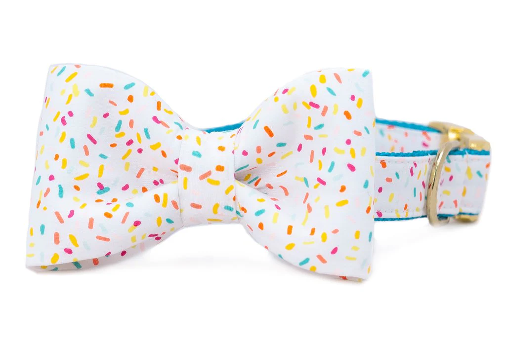 CREW LA LA | Sprinkles Bow Tie