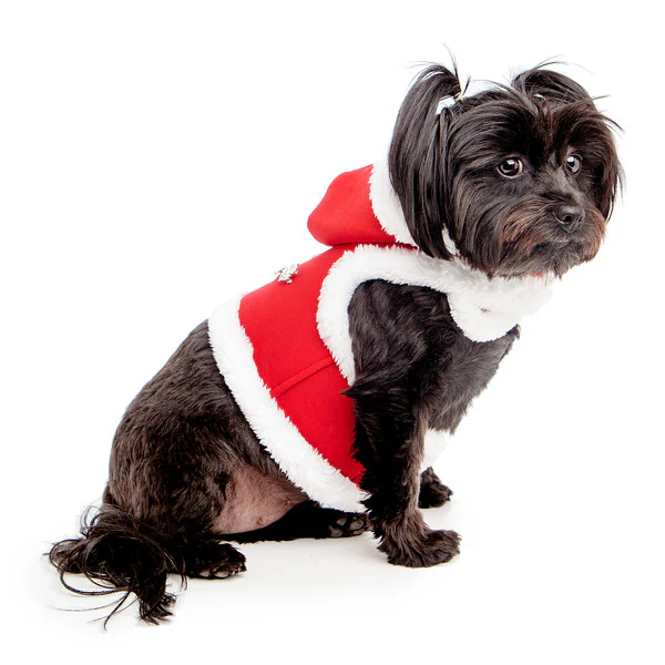 CROCI | Christmas Harness - Image 3