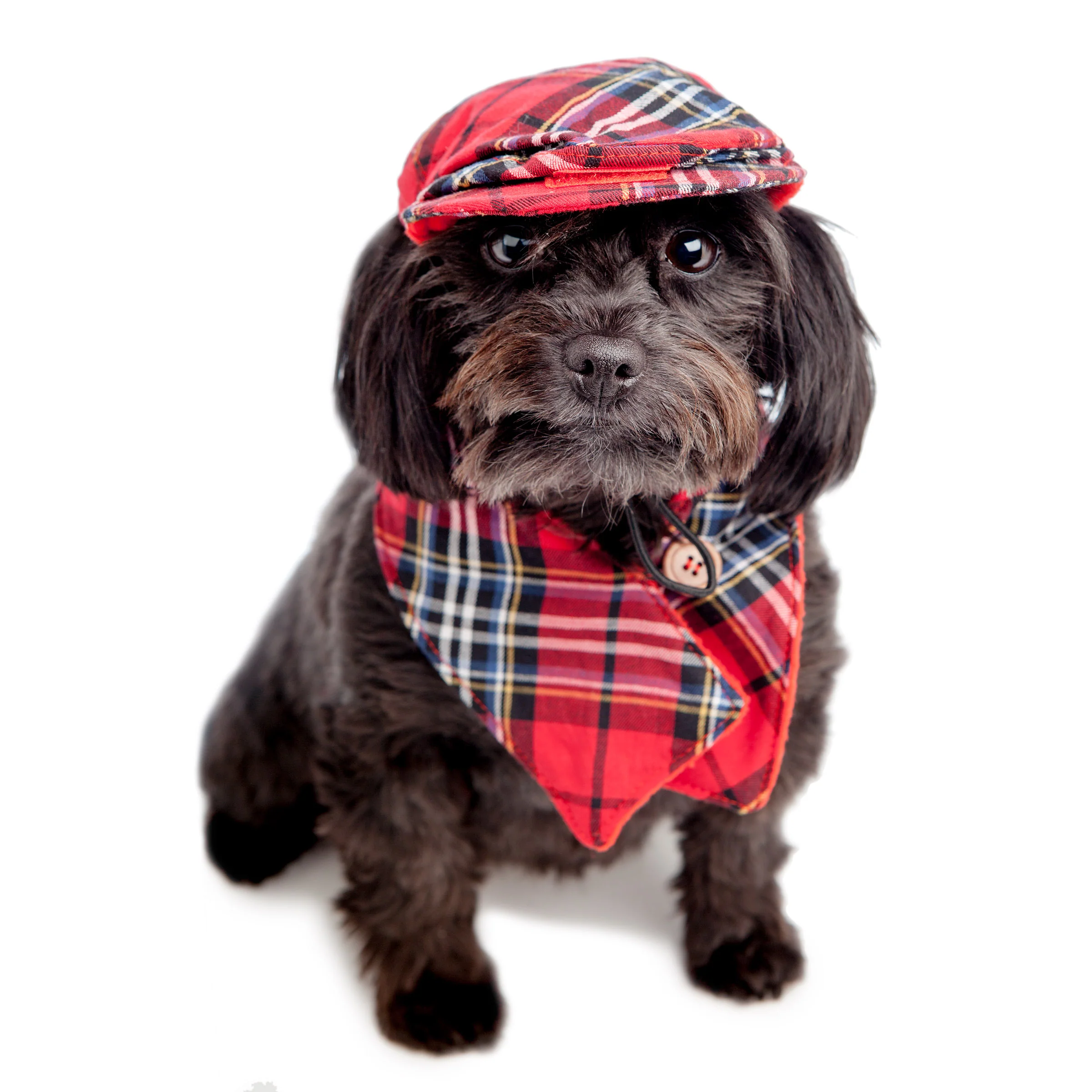 CROCI | Plaid Cap + Scarf Set