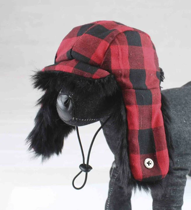 CROCI | Plaid Trapper Hat