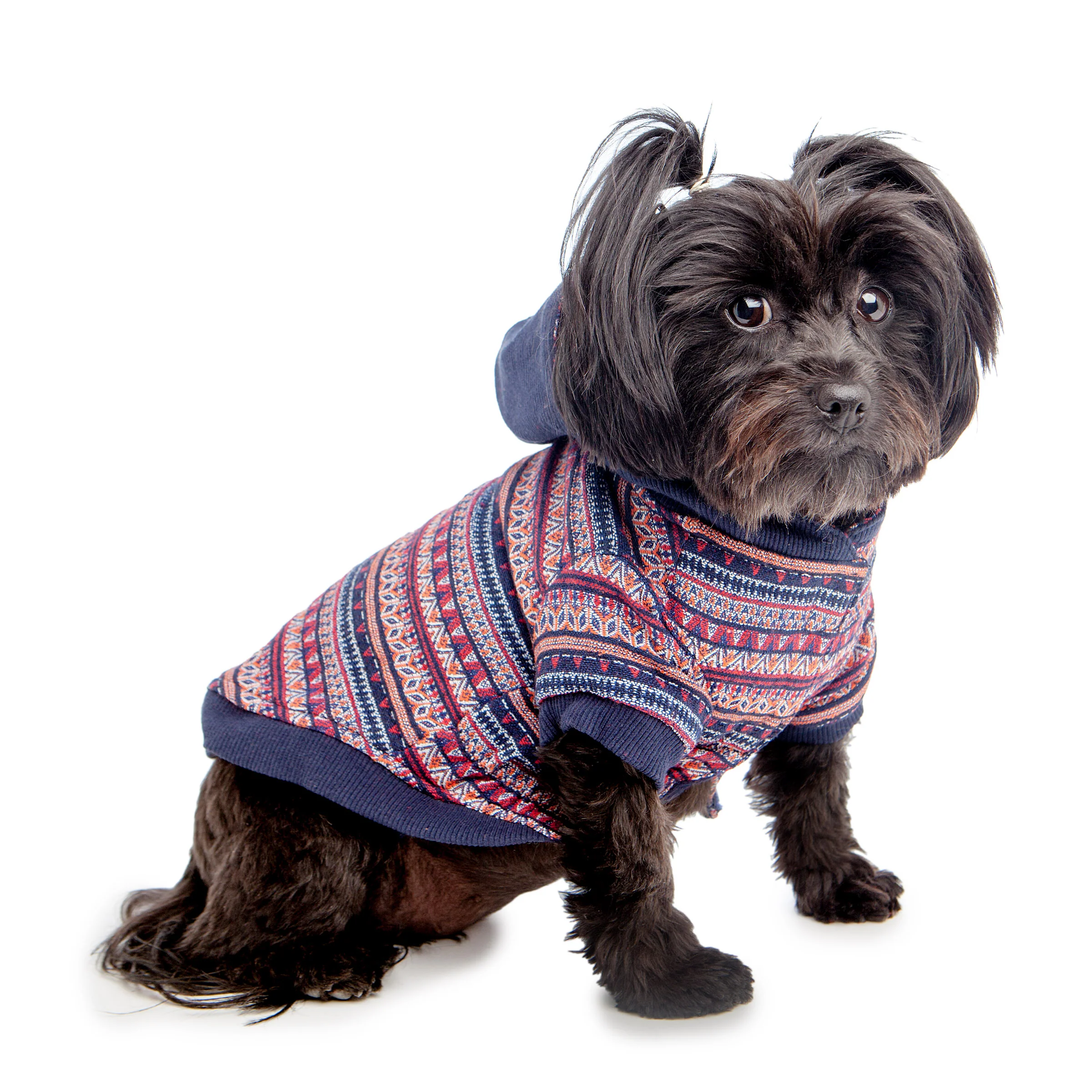 CROCI | South American Sweatshirt - Image 2