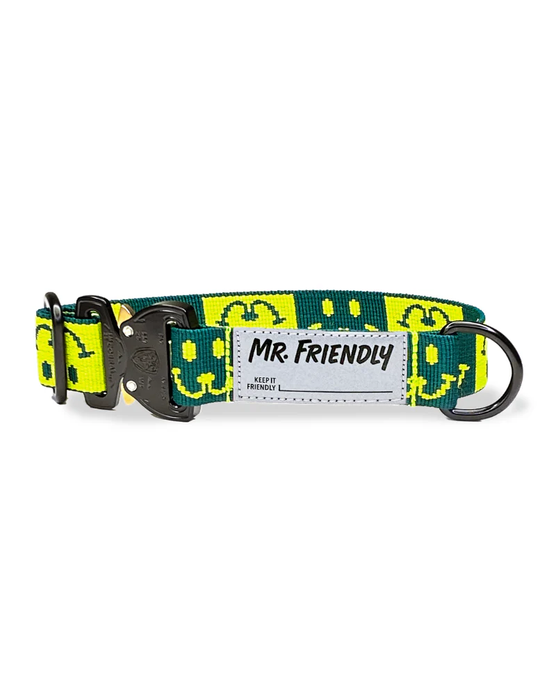 Dog Collar with Black Hardware in Neon Yellow & Green (Made in the USA) - Image 2