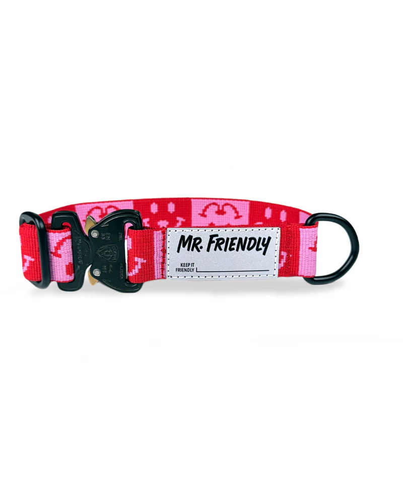 Dog Collar with Black Hardware in Pink & Red (Made in the USA)