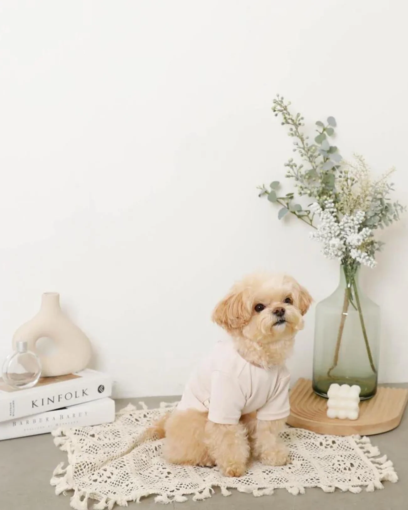 Cupcake Love Dog T-Shirt (FINAL SALE) - Image 8