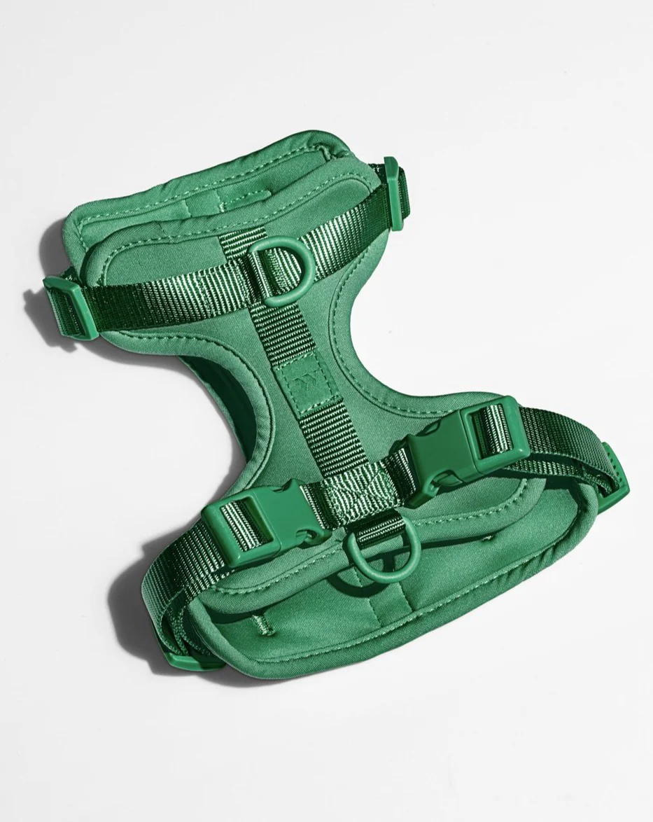 Cushioned Dog Harness in Spruce (FINAL SALE) - Image 2