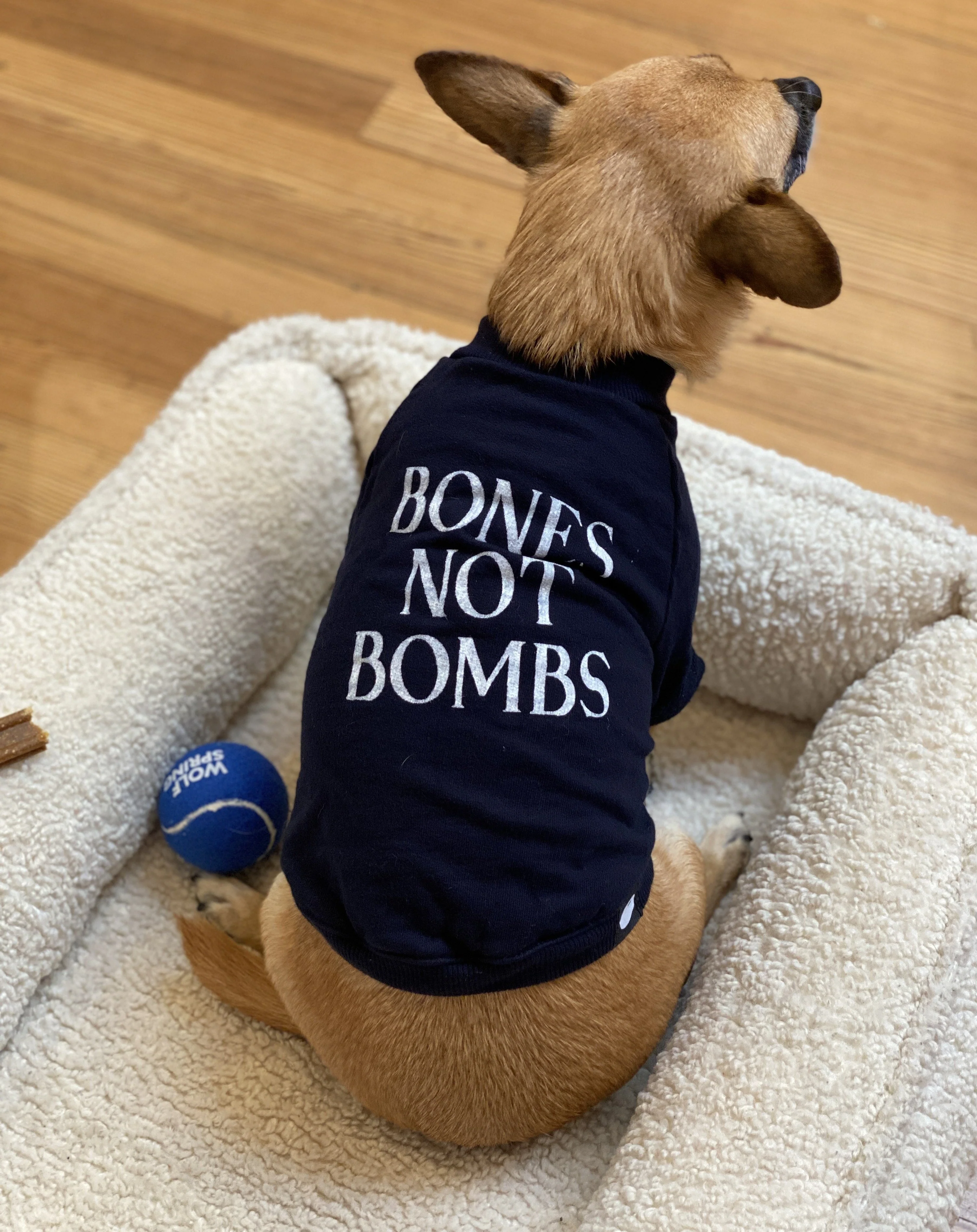 Cut-Sleeve “Bones Not Bombs” T-Shirt (Made in the USA) (FINAL SALE) - Image 2