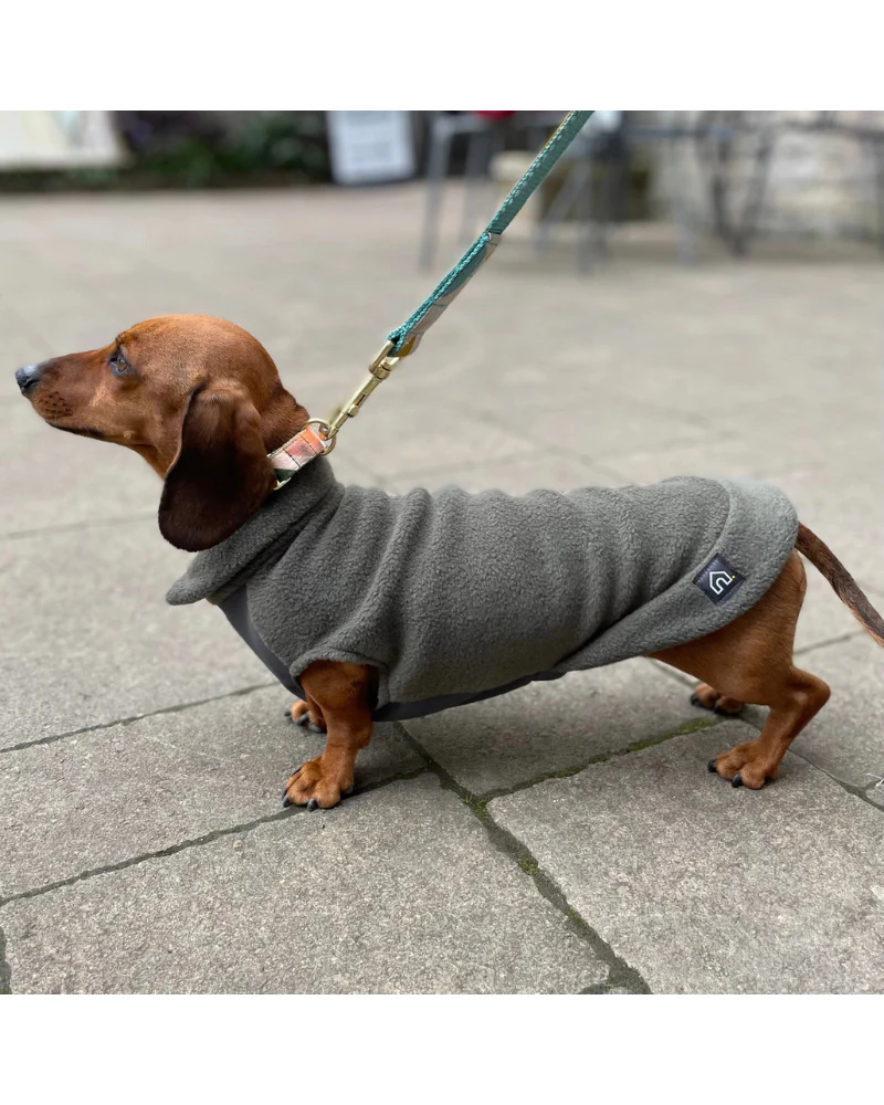 Dachshund Fleece Jumper with Waterproof Belly Panel (Made in the UK) - Image 6