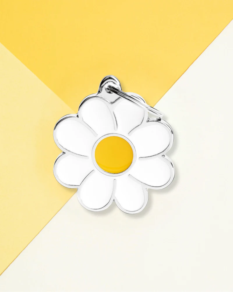 Hey Daisy Custom Pet ID Tag