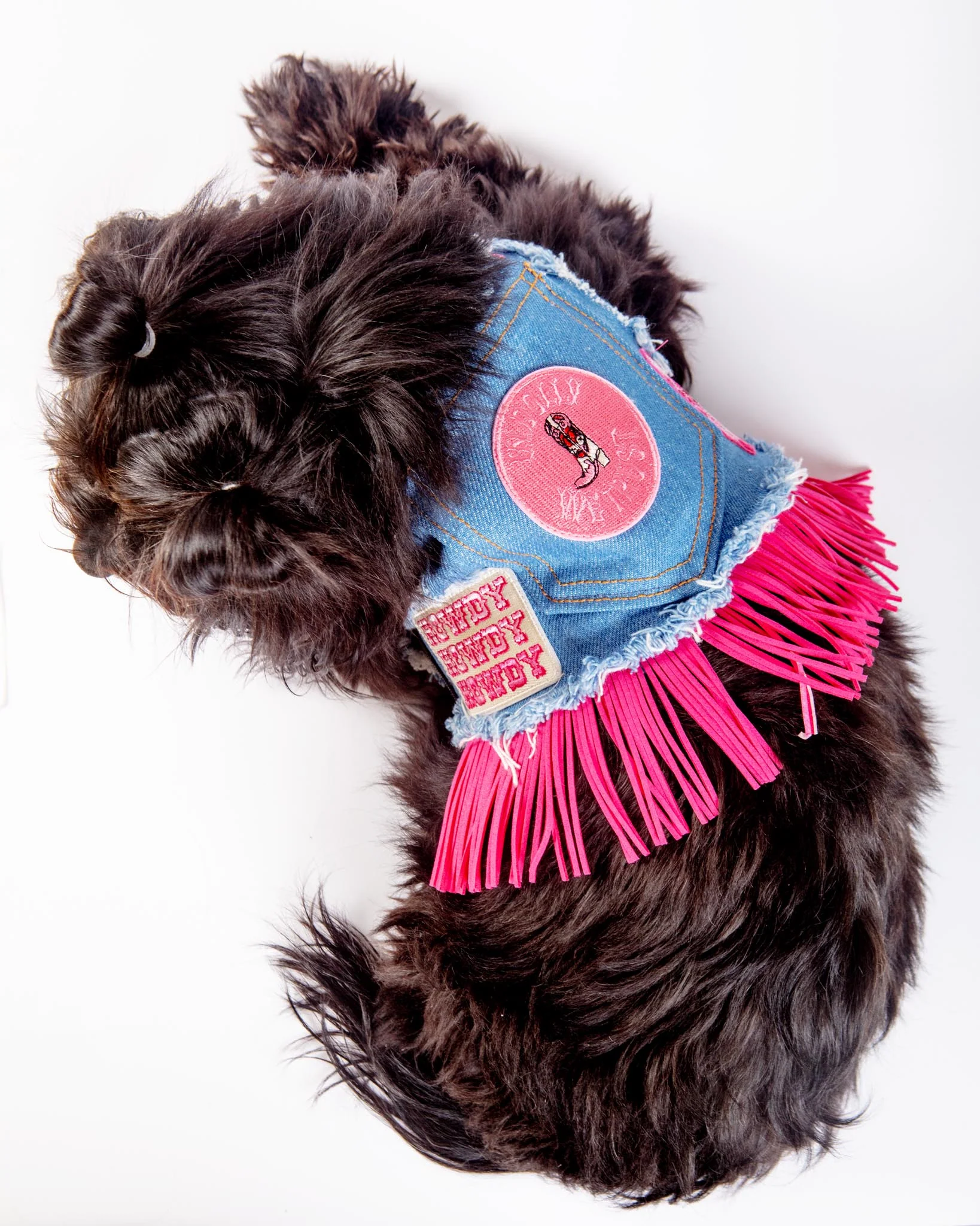 Denim Cowgirl Dog Harness (Made in the USA) (FINAL SALE) - Image 4