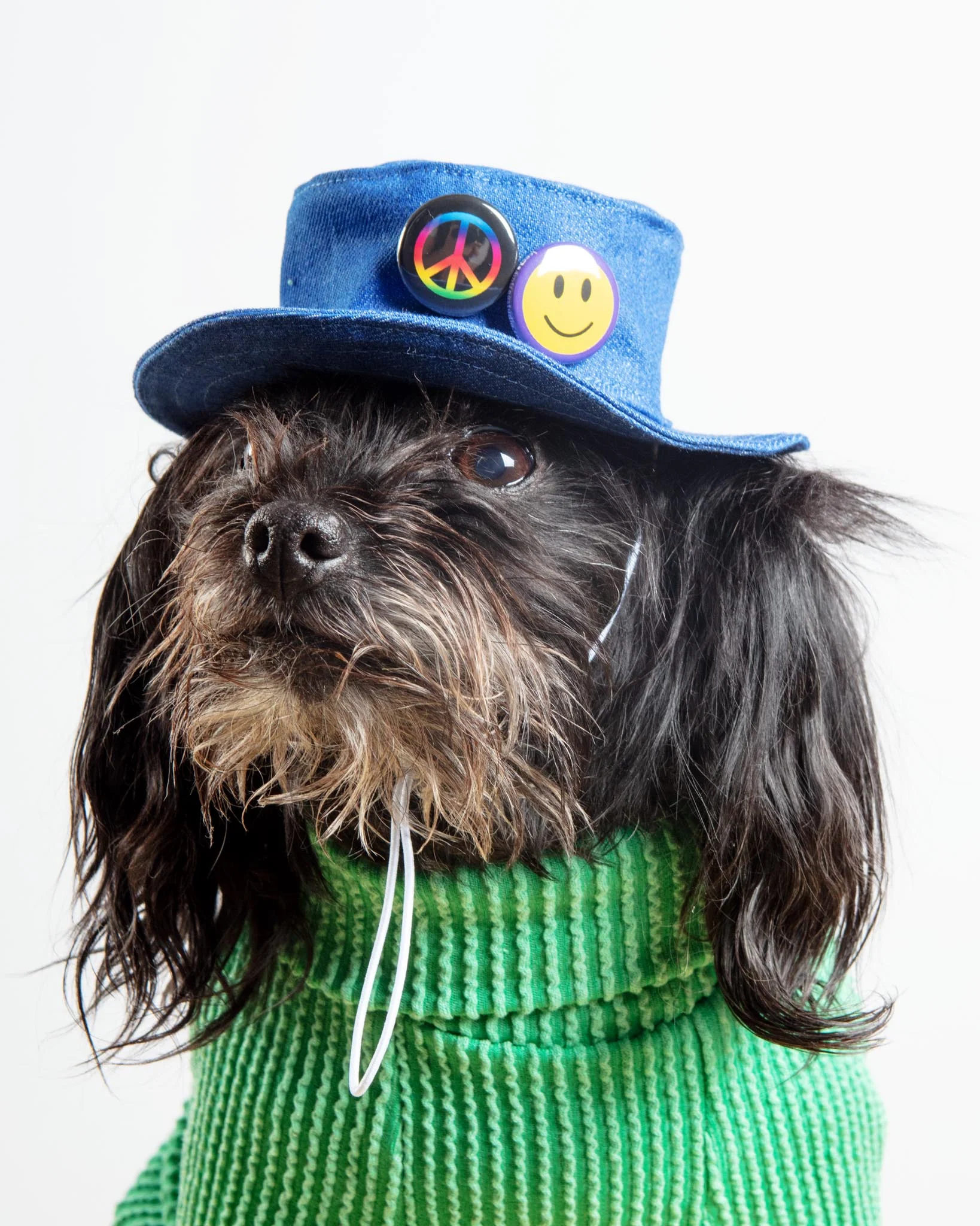 Denim Pet Bucket Hat (Made in the USA) - Image 2