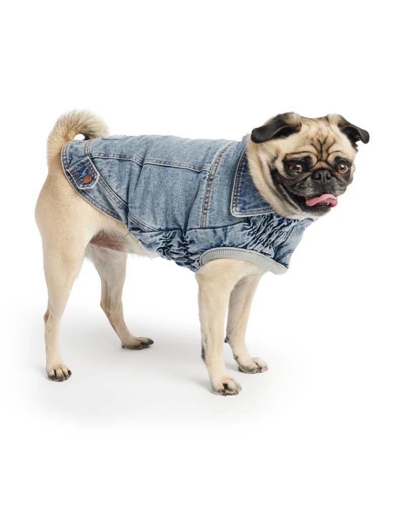 Denim Shearling Dog Jacket in Light Wash (FINAL SALE) - Image 7