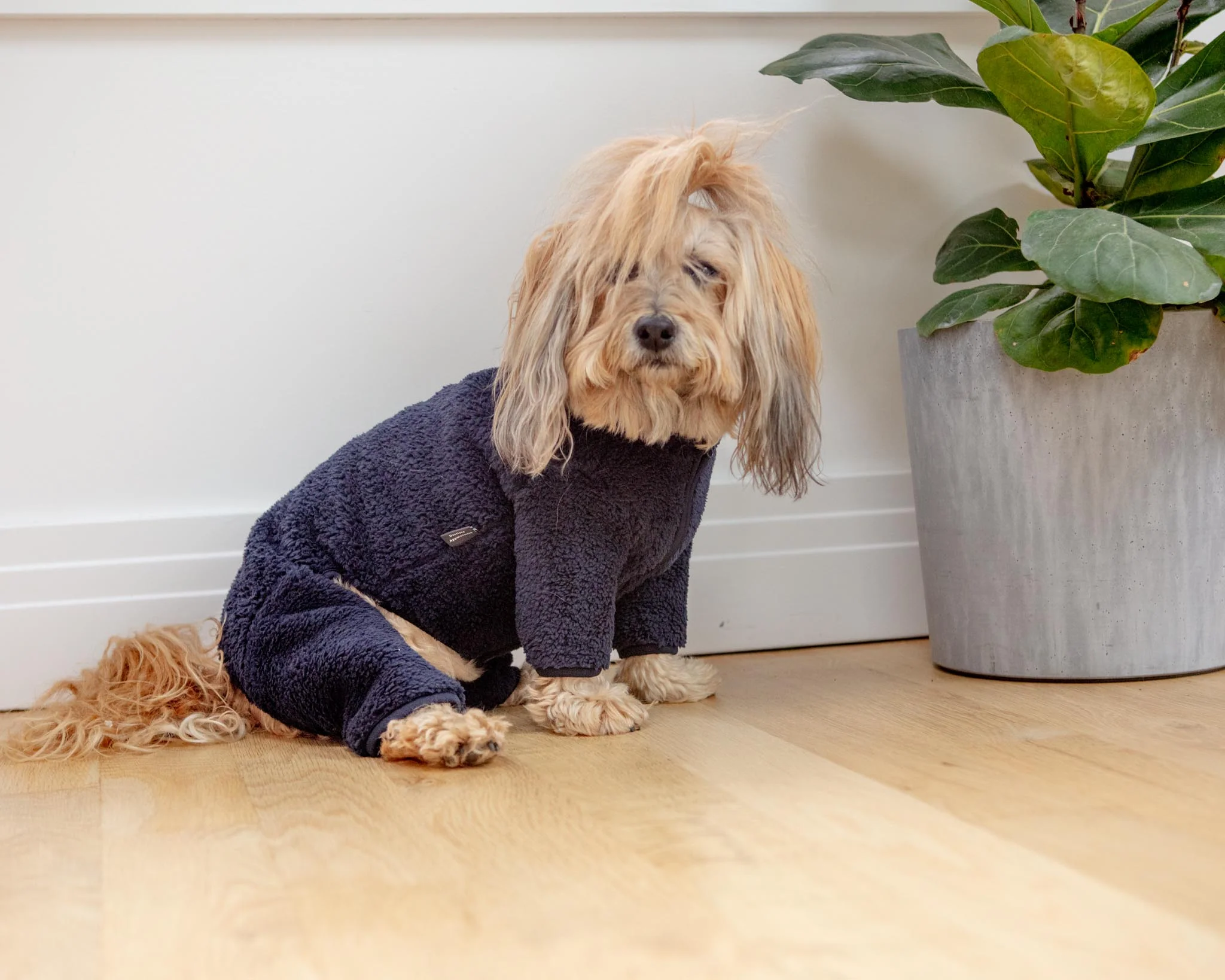 Boa Fleece Onesie in Navy (Dog & Co. Exclusive) - Image 7