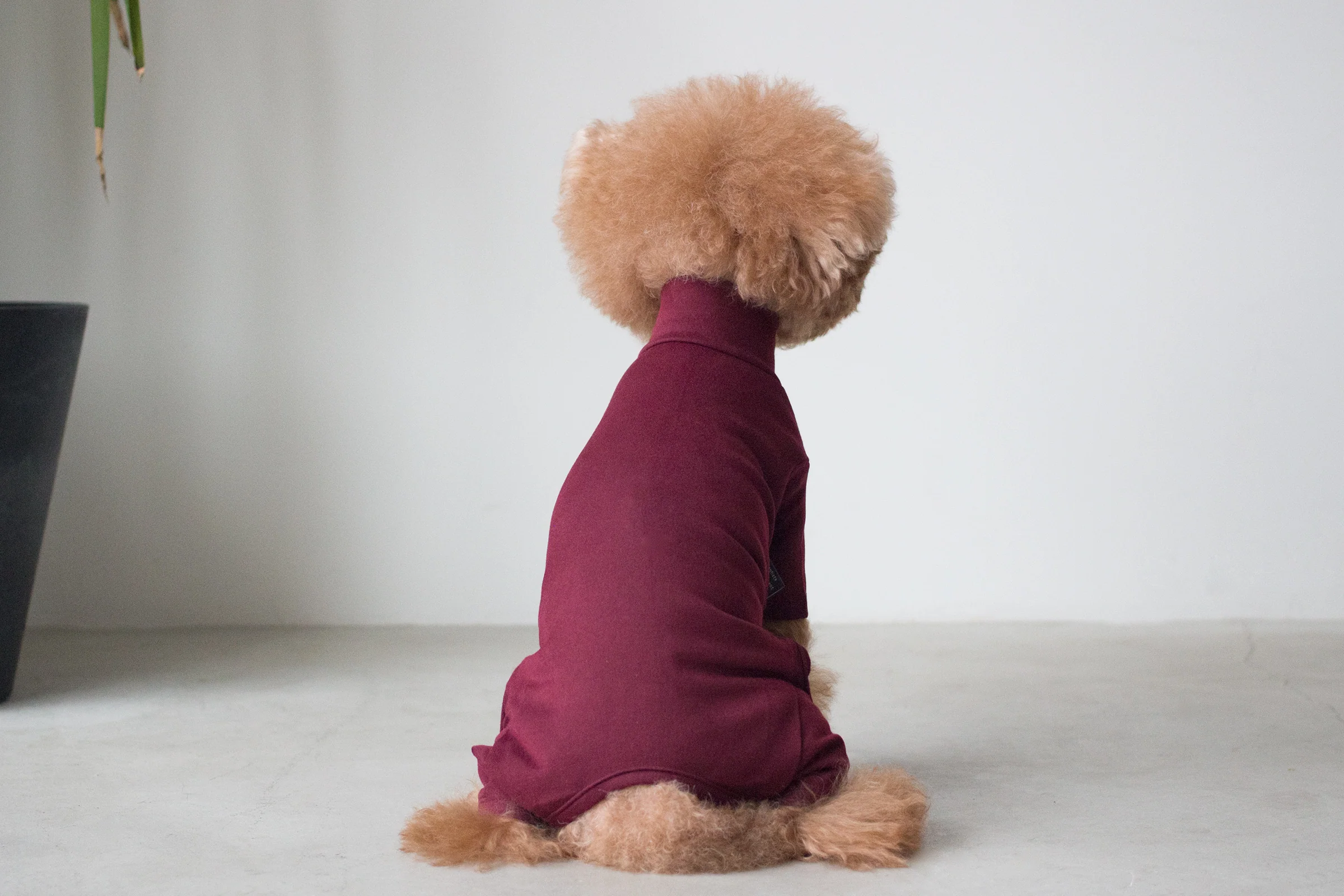 DENTISTS APPOINTMENT | Body Warm All-in-One in Burgundy - Image 3