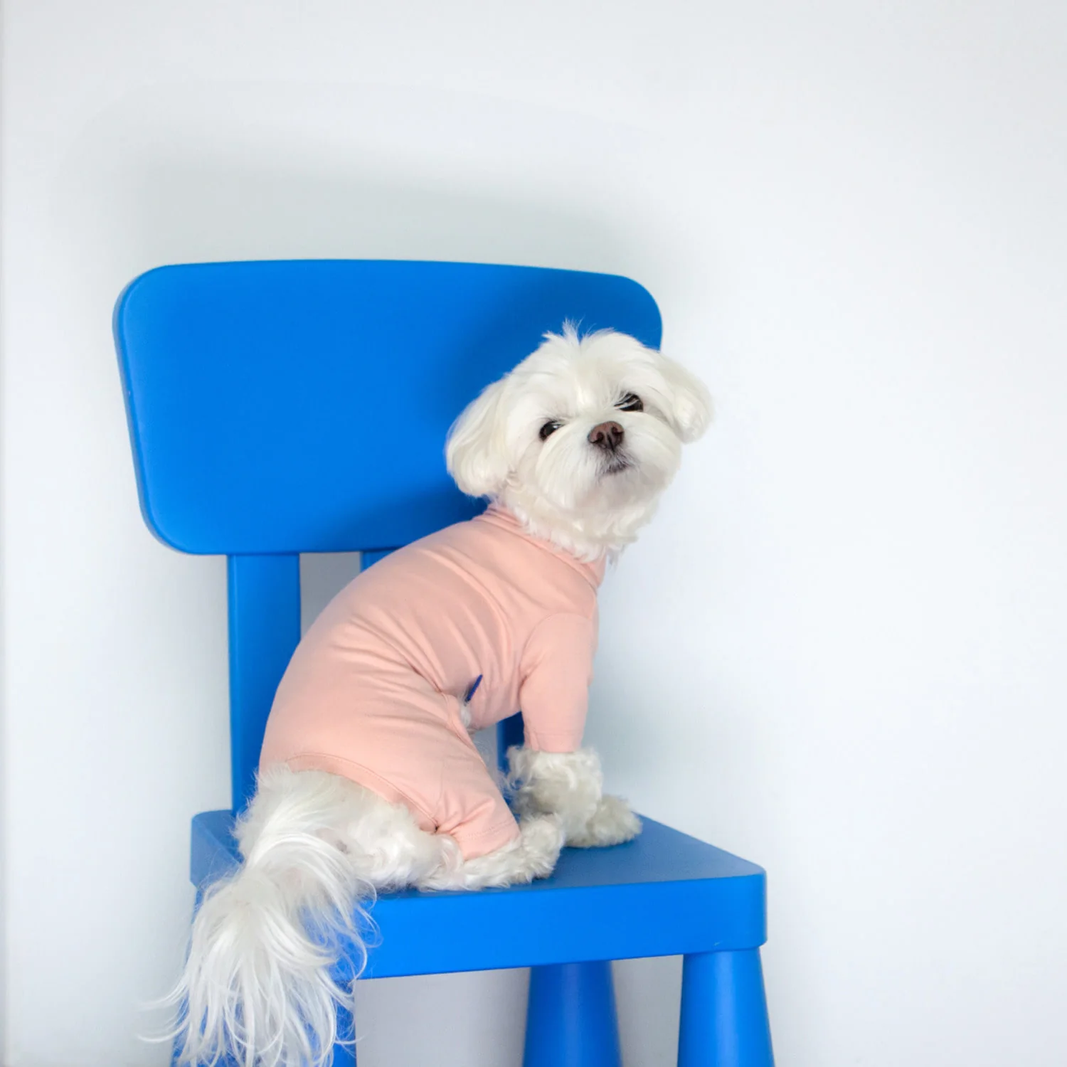 Body Warm All-in-One in Pink (FINAL SALE) - Image 2