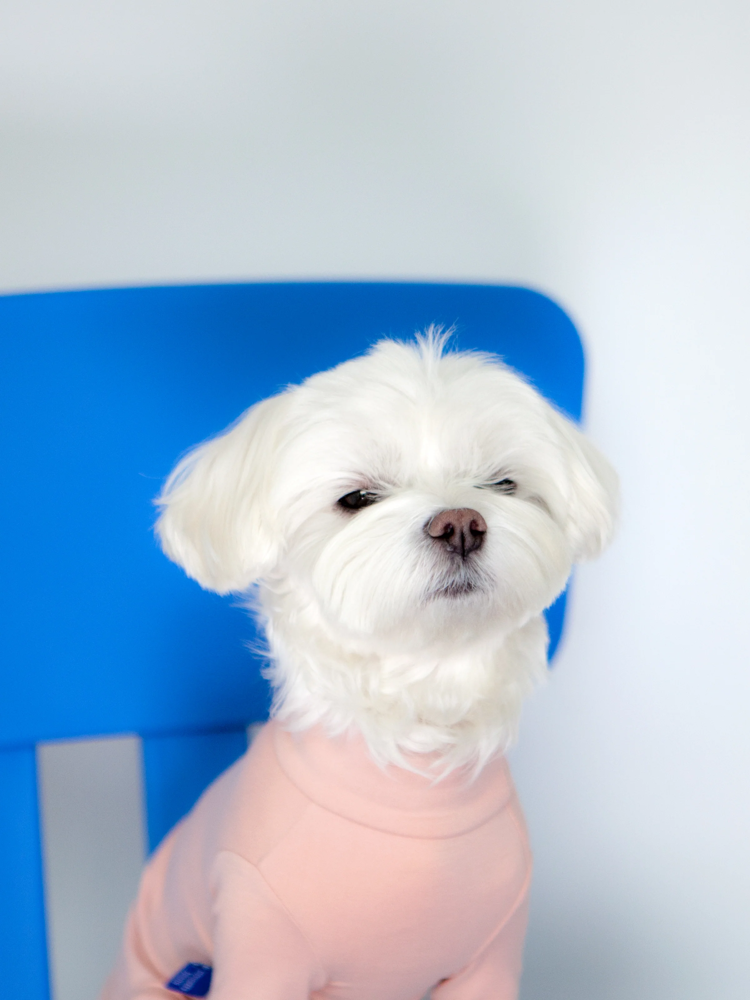 Body Warm All-in-One in Pink (FINAL SALE) - Image 6
