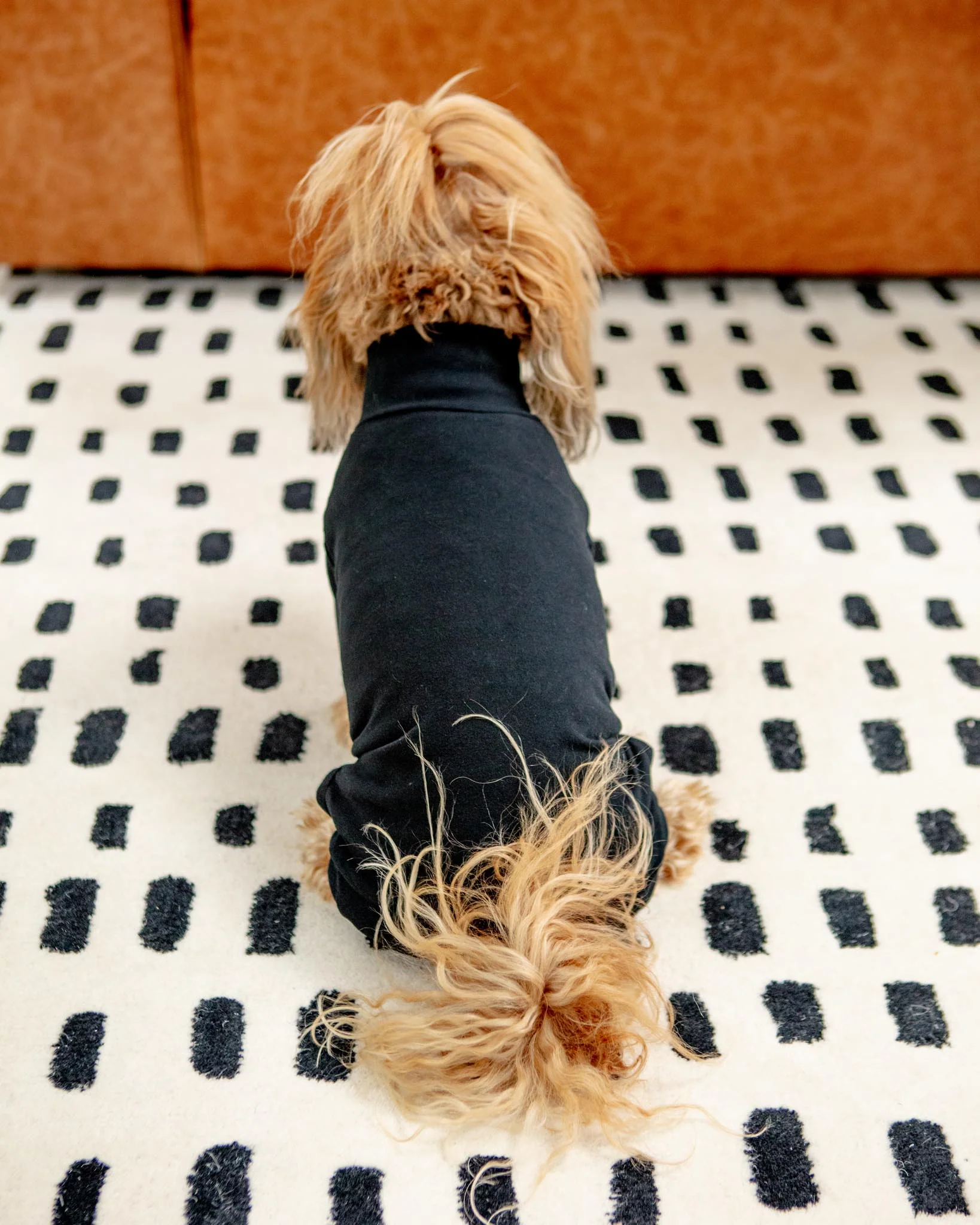 Body Warm Onesie in Black (Dog & Co. Exclusive) - Image 3