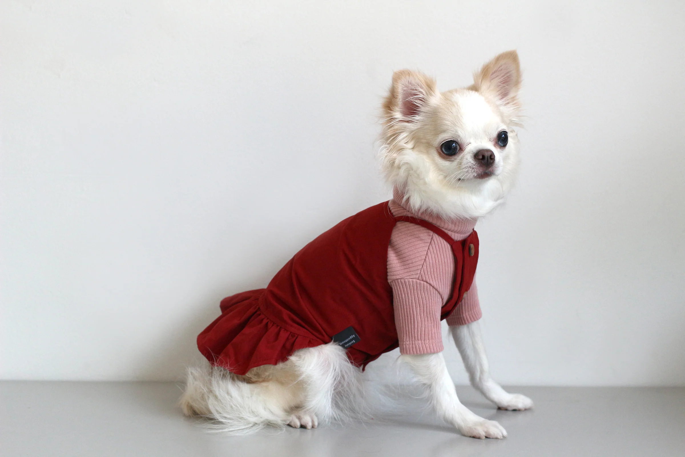 DENTISTS APPOINTMENT | Camisole Dress in Red - Image 3