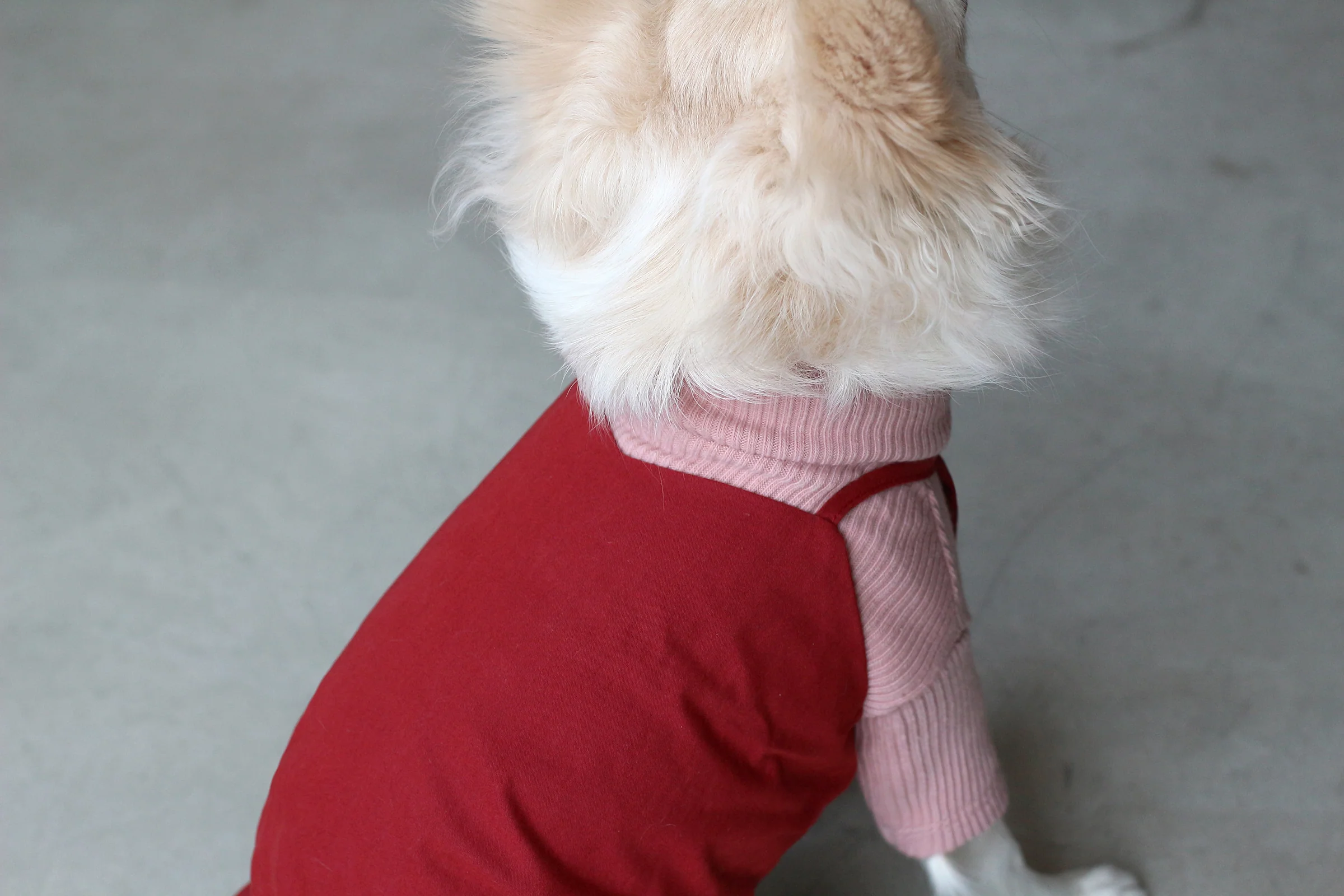 DENTISTS APPOINTMENT | Camisole Dress in Red - Image 5