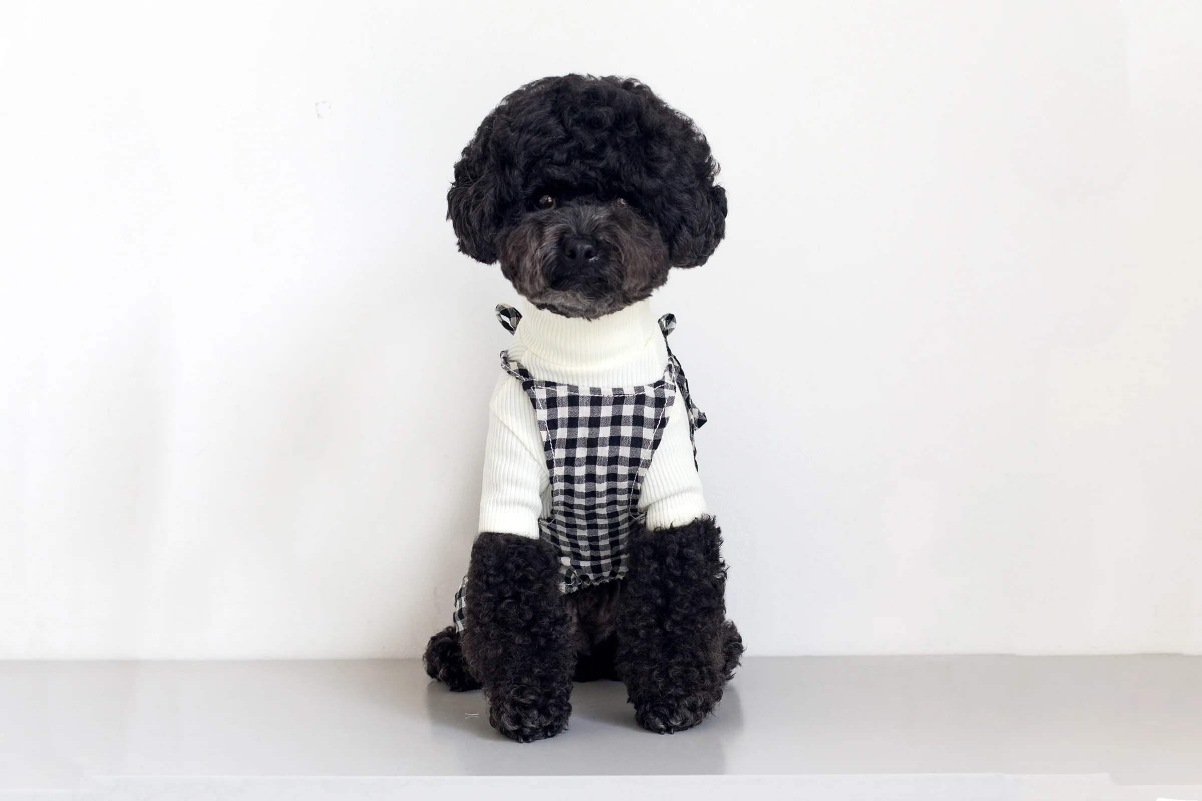 DENTISTS APPOINTMENT | Gingham Check Overall in Black & White - Image 2