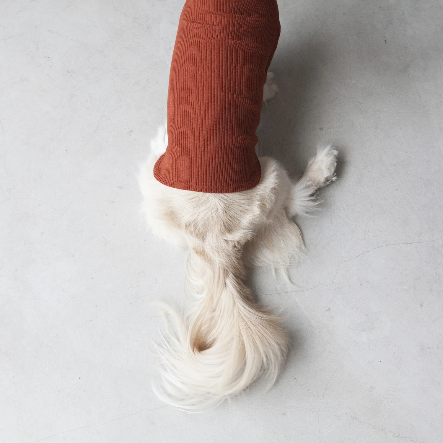 DENTISTS APPOINTMENT | Skinny Rib Rollneck in Brick Brown - Image 8