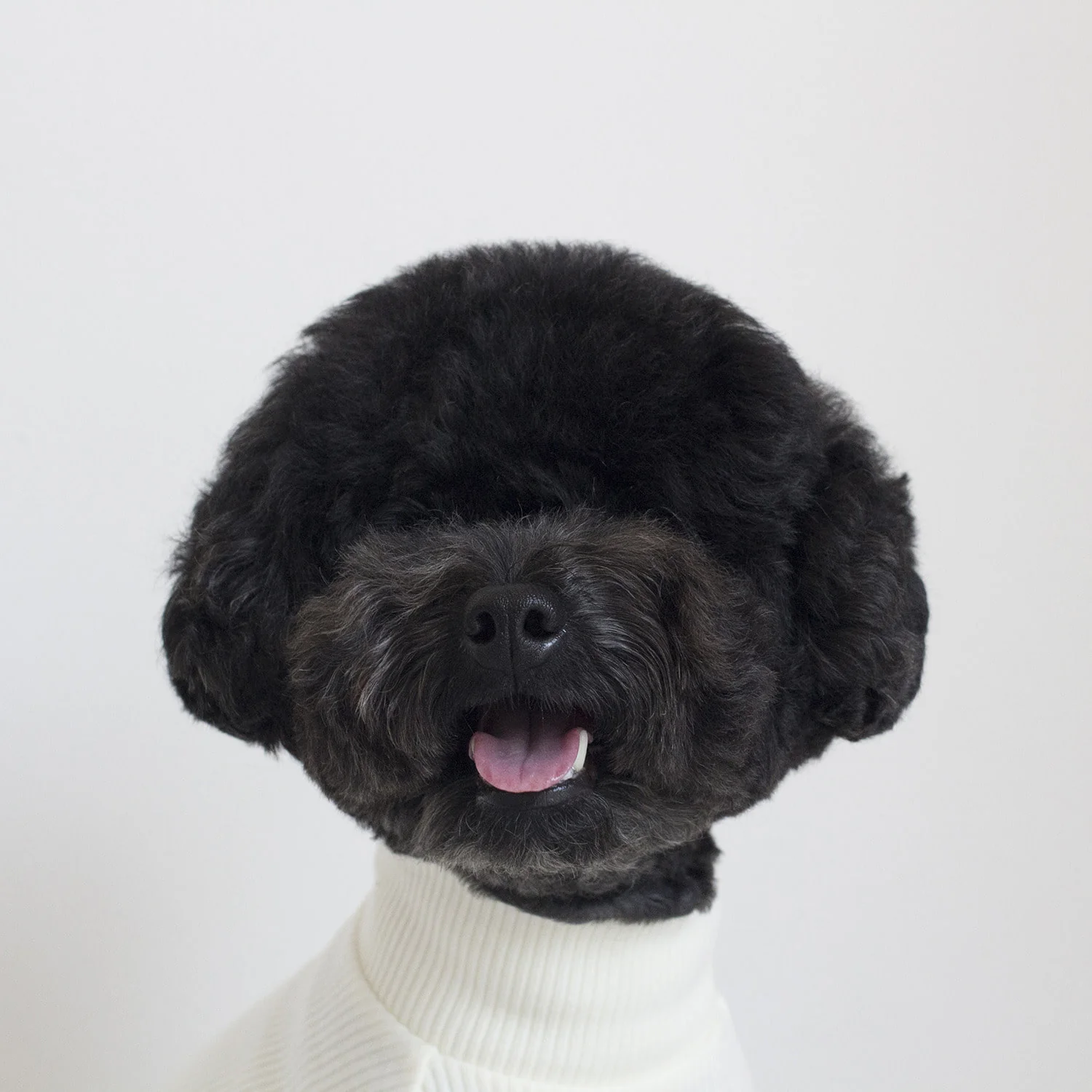 DENTISTS APPOINTMENT | Skinny Rib Rollneck in Ivory - Image 5
