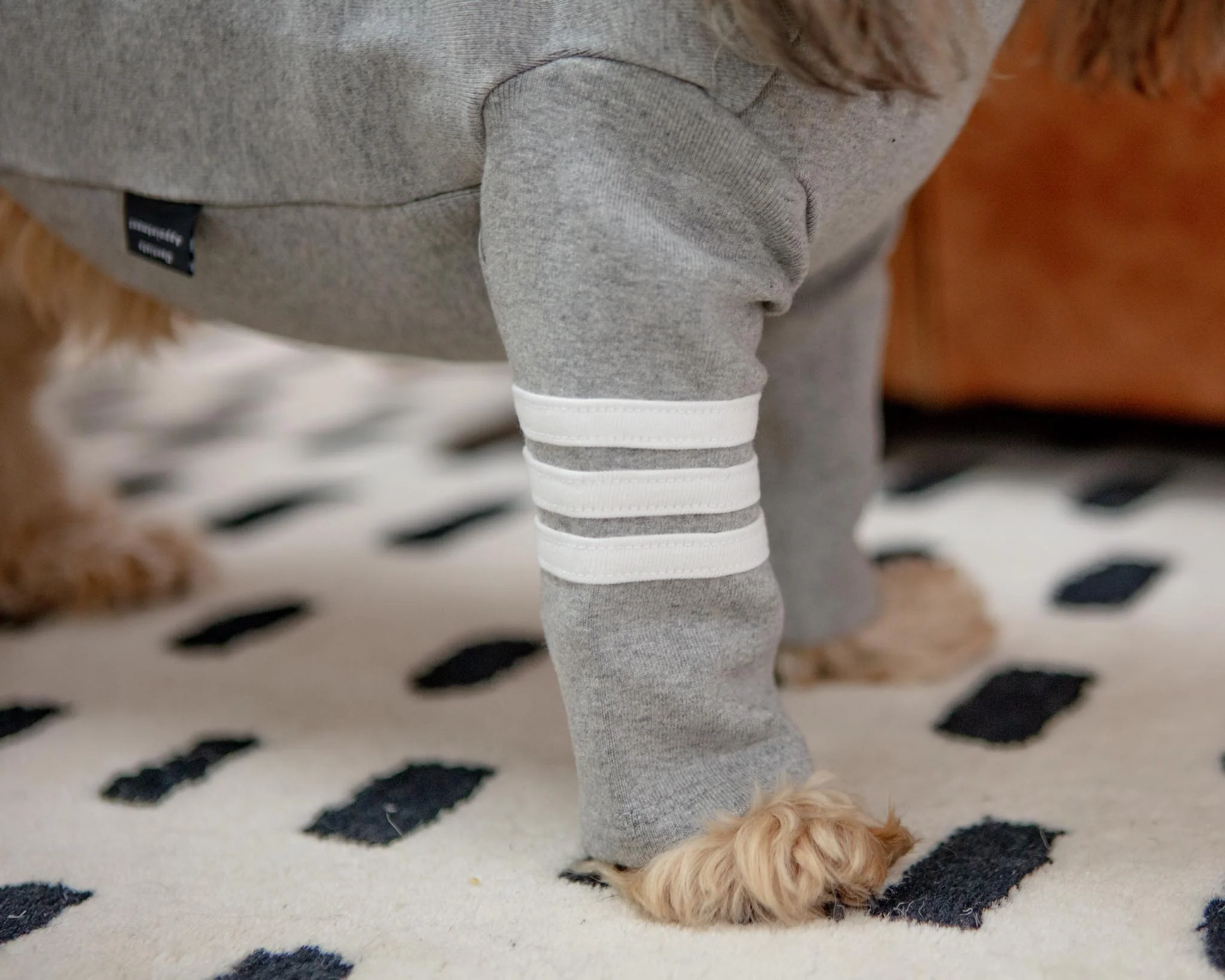 Stripe Point Turtleneck in Grey (Dog & Co. Exclusive) (FINAL SALE) - Image 3