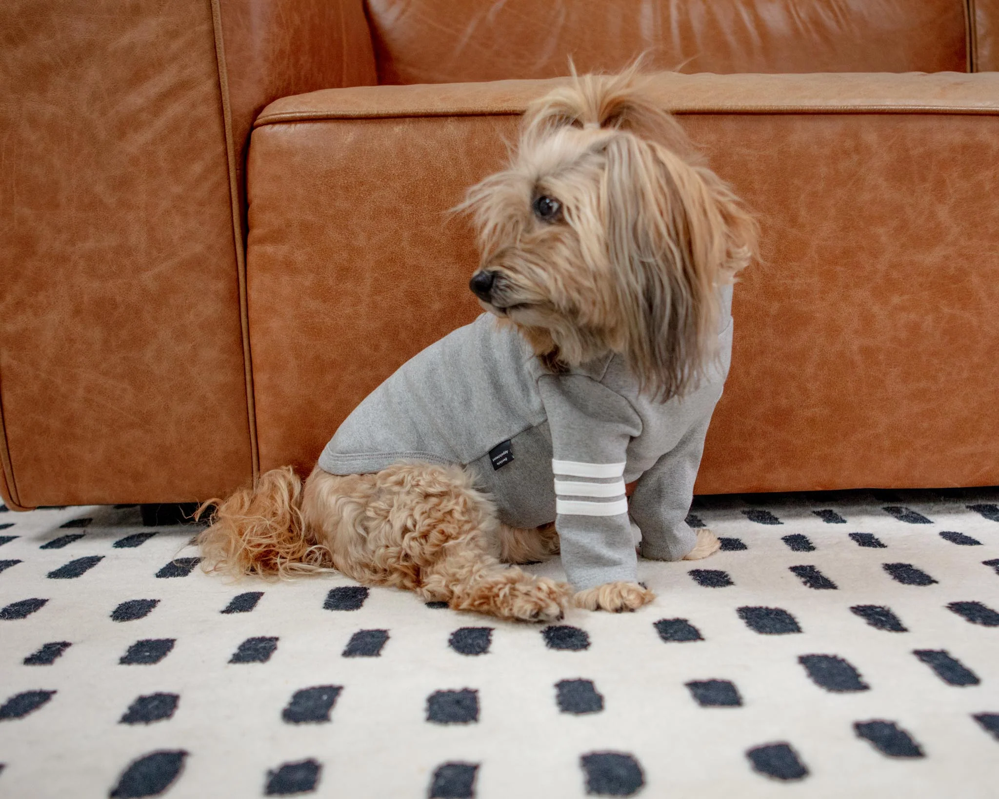 Stripe Point Turtleneck in Grey (Dog & Co. Exclusive) (FINAL SALE) - Image 4