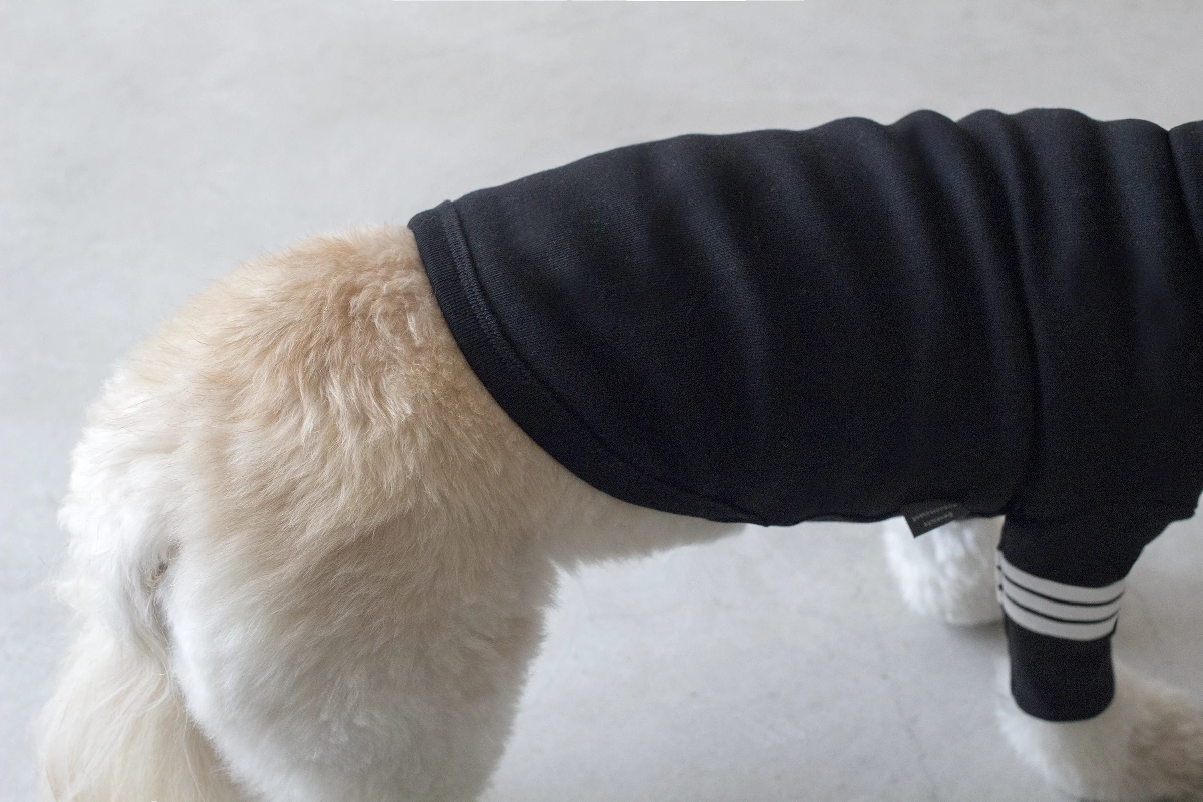 DENTISTS APPOINTMENT | Striped Point Turtleneck in Black - Image 6