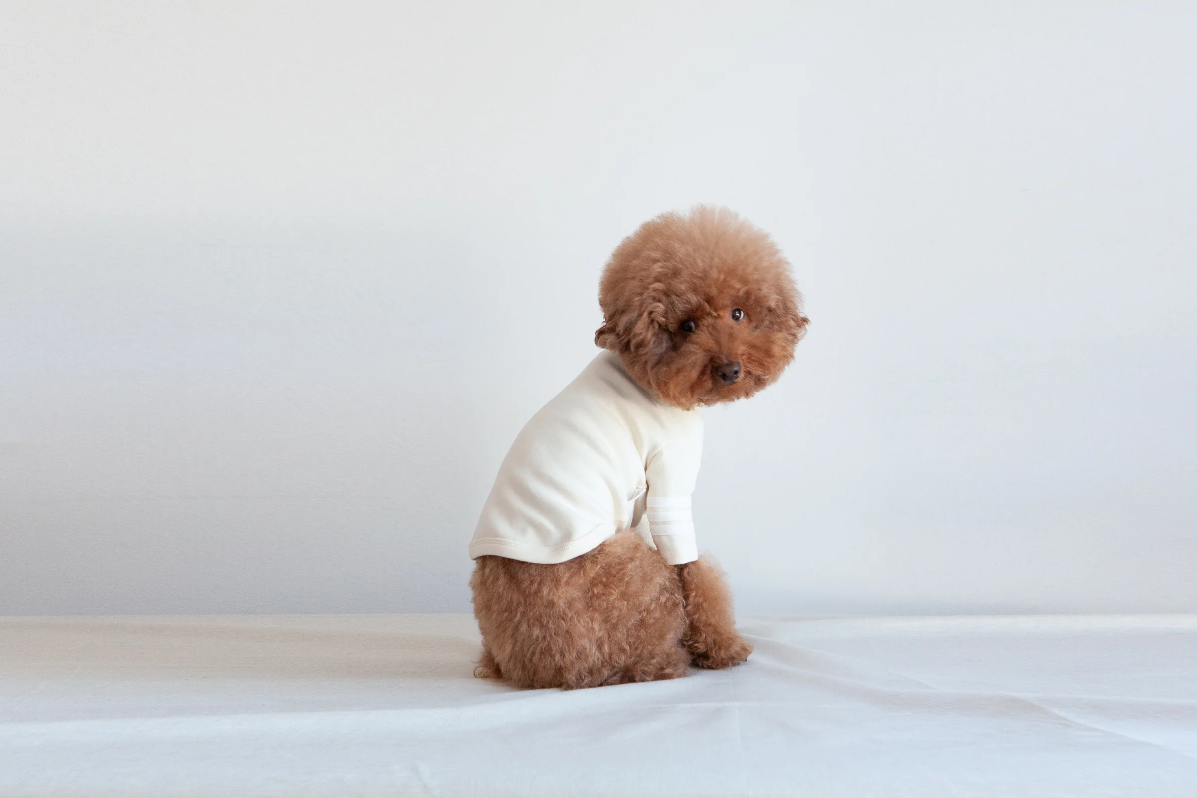 DENTISTS APPOINTMENT | Striped Point Turtleneck in Cream - Image 4