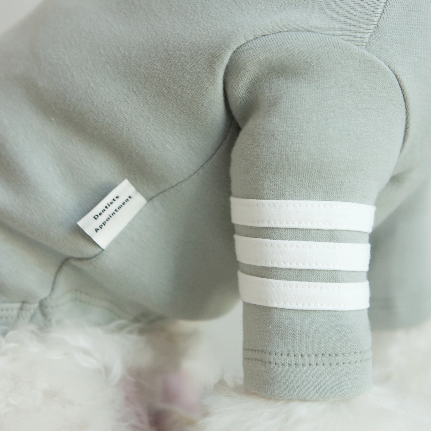 DENTISTS APPOINTMENT | Striped Point Turtleneck in Mint Grey - Image 3