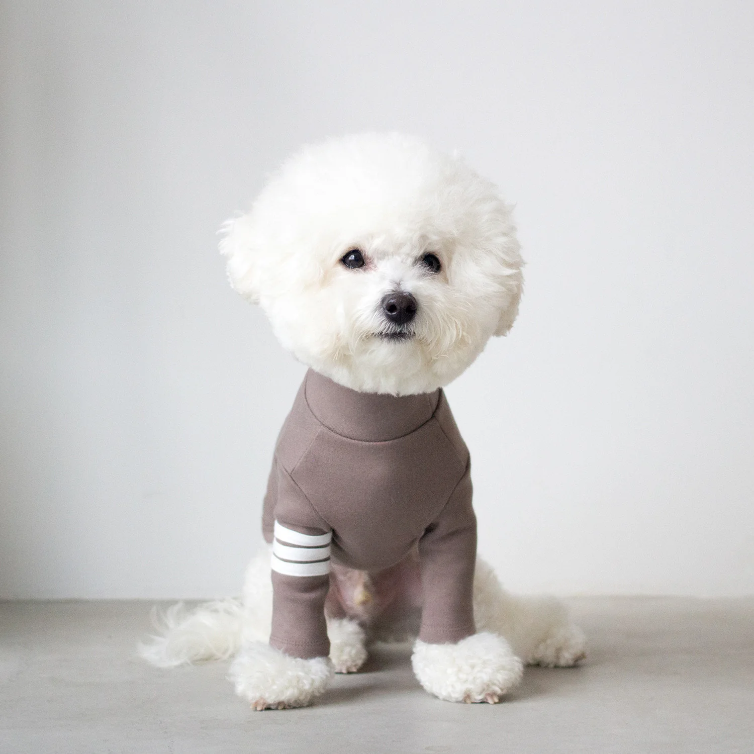 DENTISTS APPOINTMENT | Striped Point Turtleneck in Mocha - Image 2