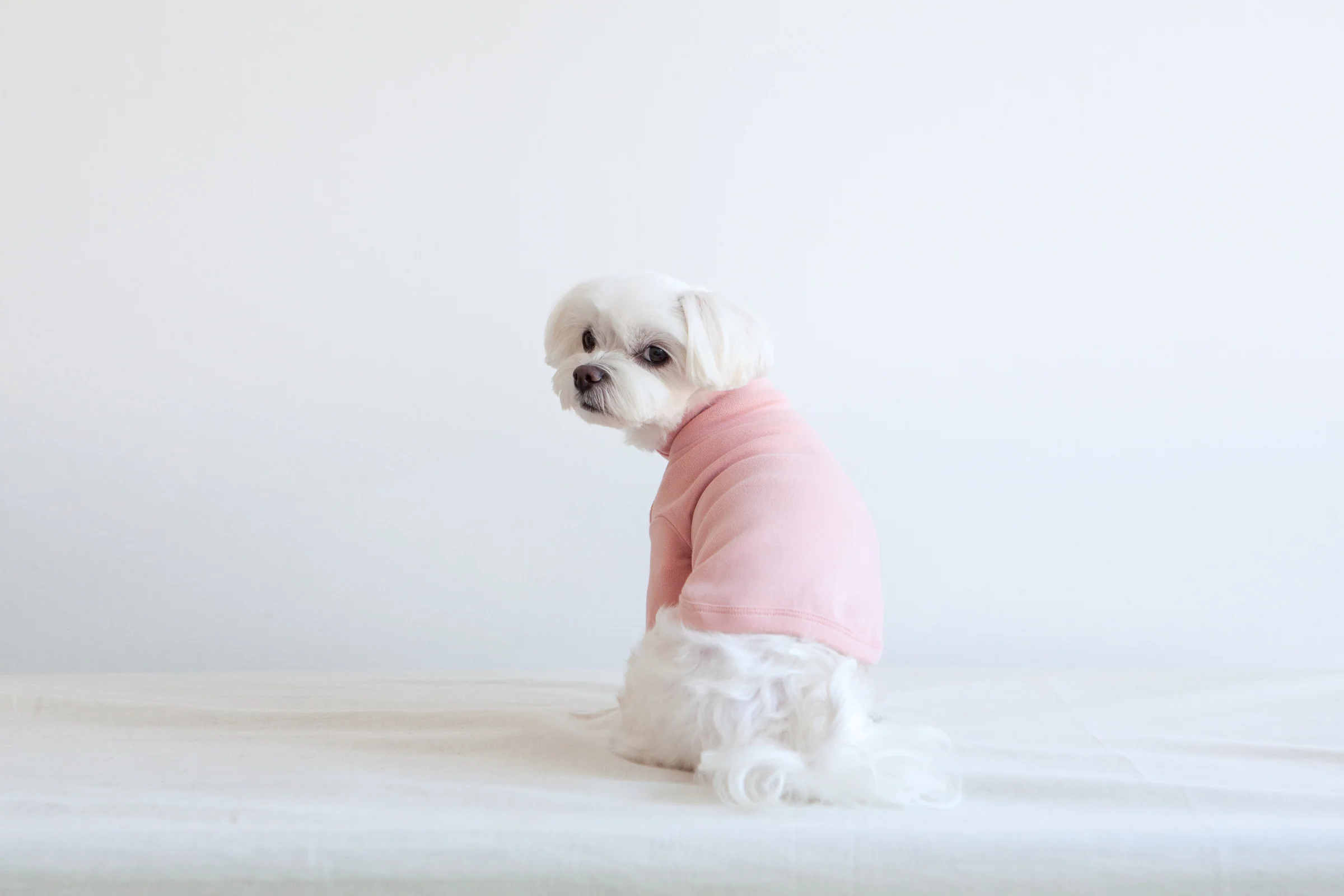 DENTISTS APPOINTMENT | Striped Point Turtleneck in Soft Pink - Image 10