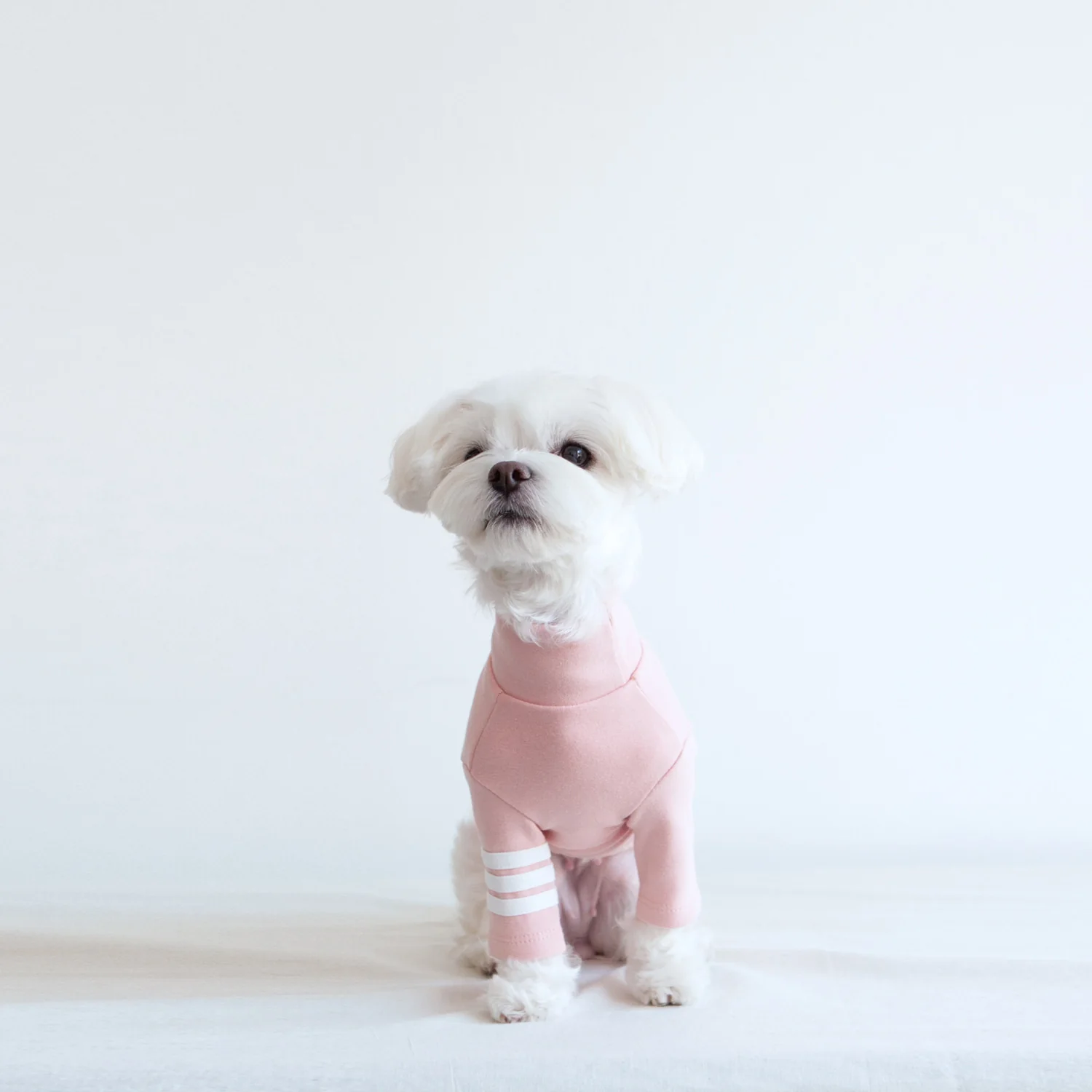DENTISTS APPOINTMENT | Striped Point Turtleneck in Soft Pink - Image 7