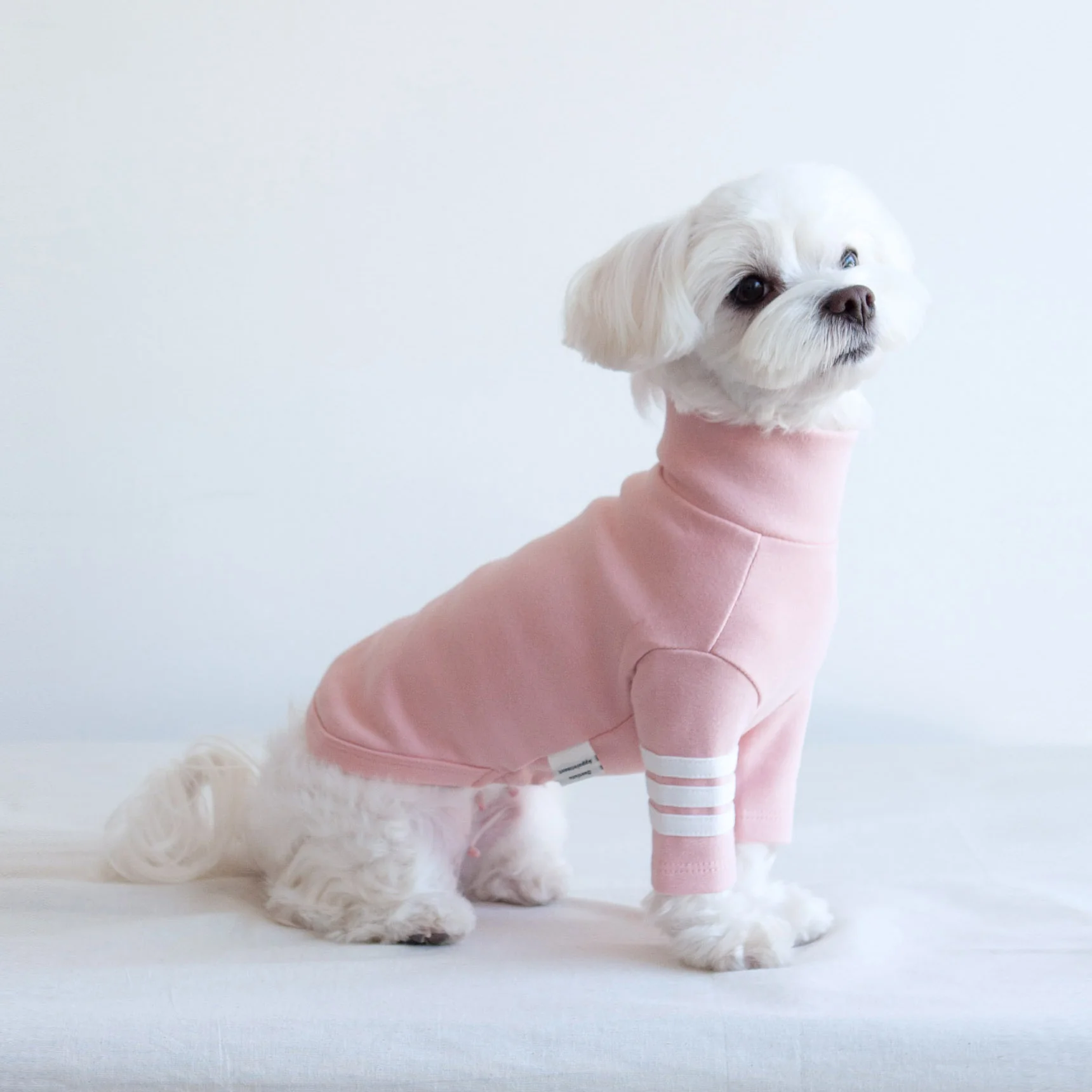 DENTISTS APPOINTMENT | Striped Point Turtleneck in Soft Pink - Image 9