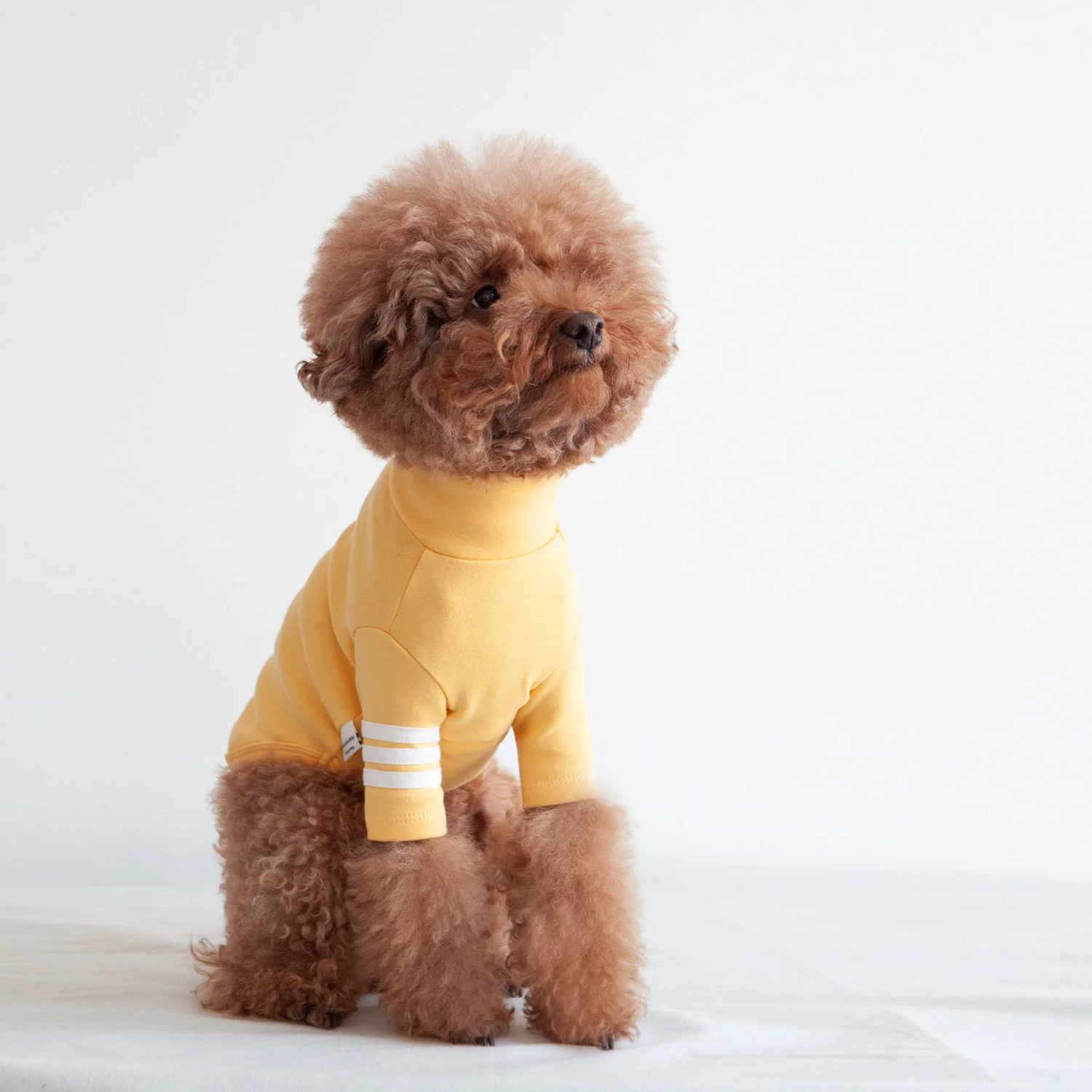 Striped Point Turtleneck in Yellow - Image 3