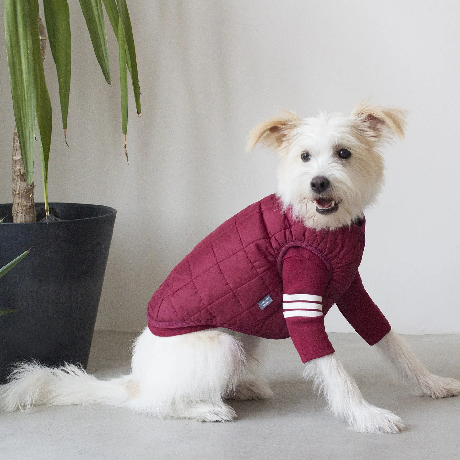 DENTISTS APPOINTMENT | Warm Quilted Vest in Burgundy (w/ Harness Hole) - Image 6