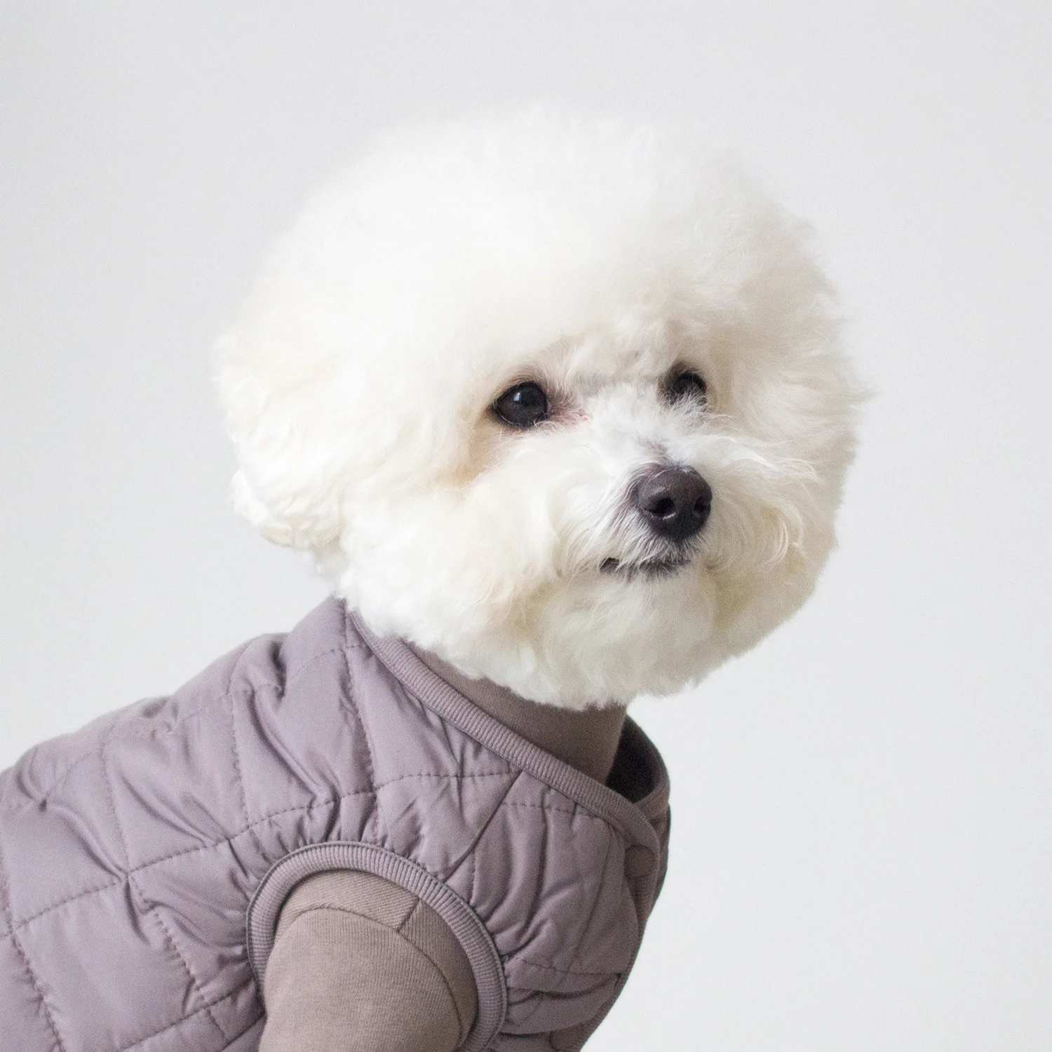 DENTISTS APPOINTMENT | Warm Quilted Vest in Mocha (w/ Harness Hole) - Image 3