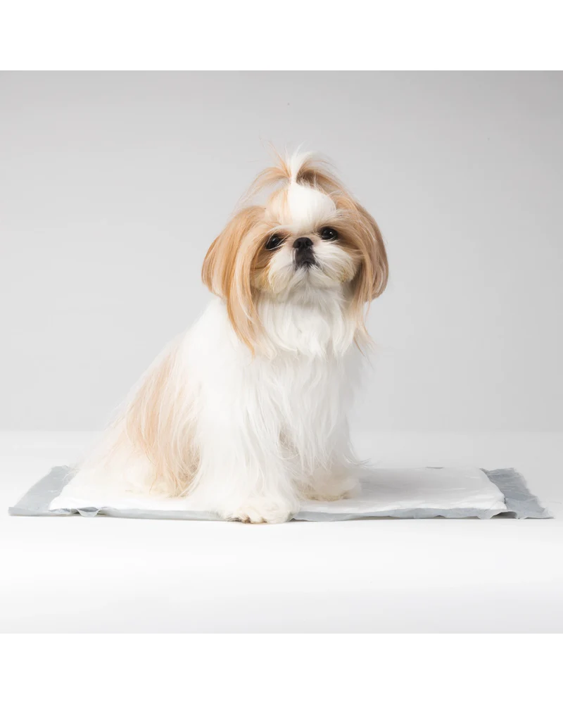 Travel-Sized Pee Pads - Image 2
