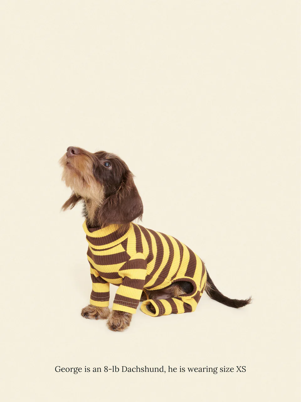 Dijon Stretch Ribbed Dog Onesie - Image 6