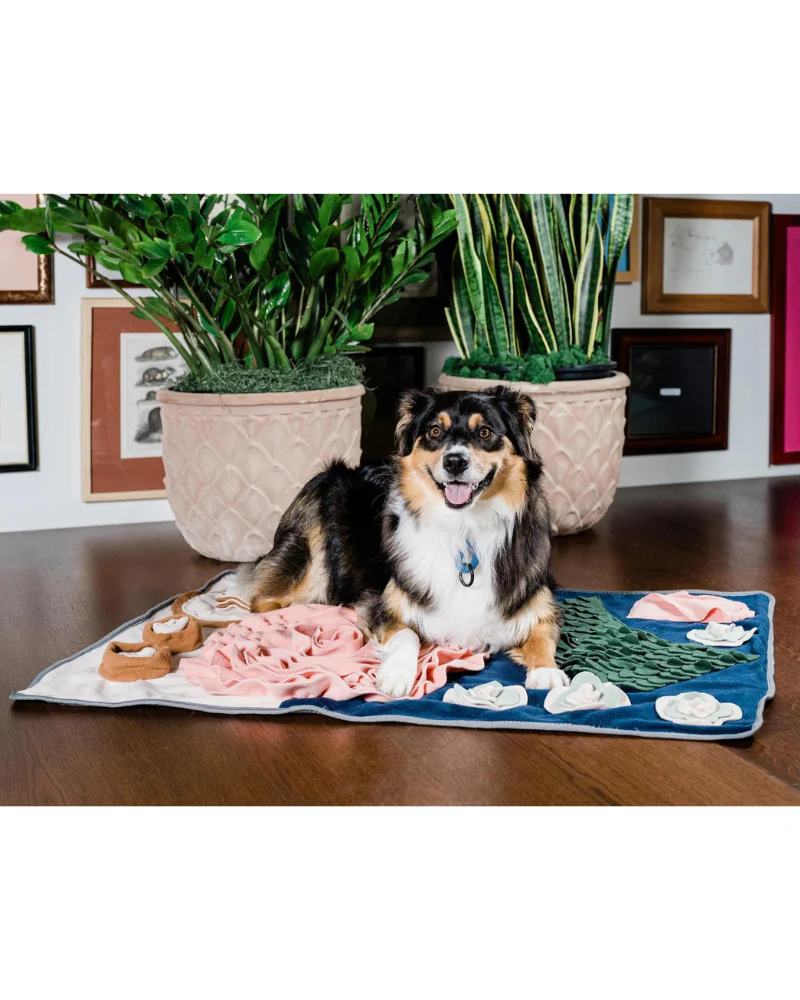 Dinner Table Snuffle Feeding Toy for Dogs & Cats - Image 3