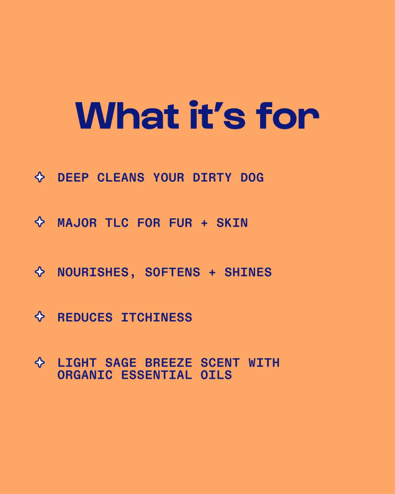 Disco Dog Aloe Vera & Coconut Dog Shampoo & Conditioner (Made in the USA) - Image 4