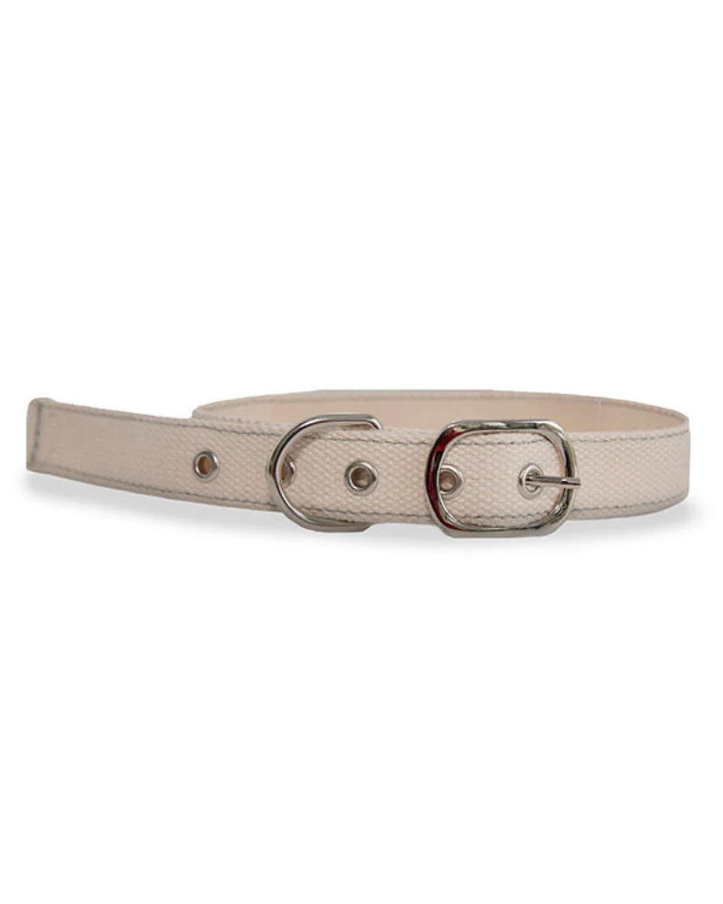DIY Cross Stitch Dog Collar - Image 3
