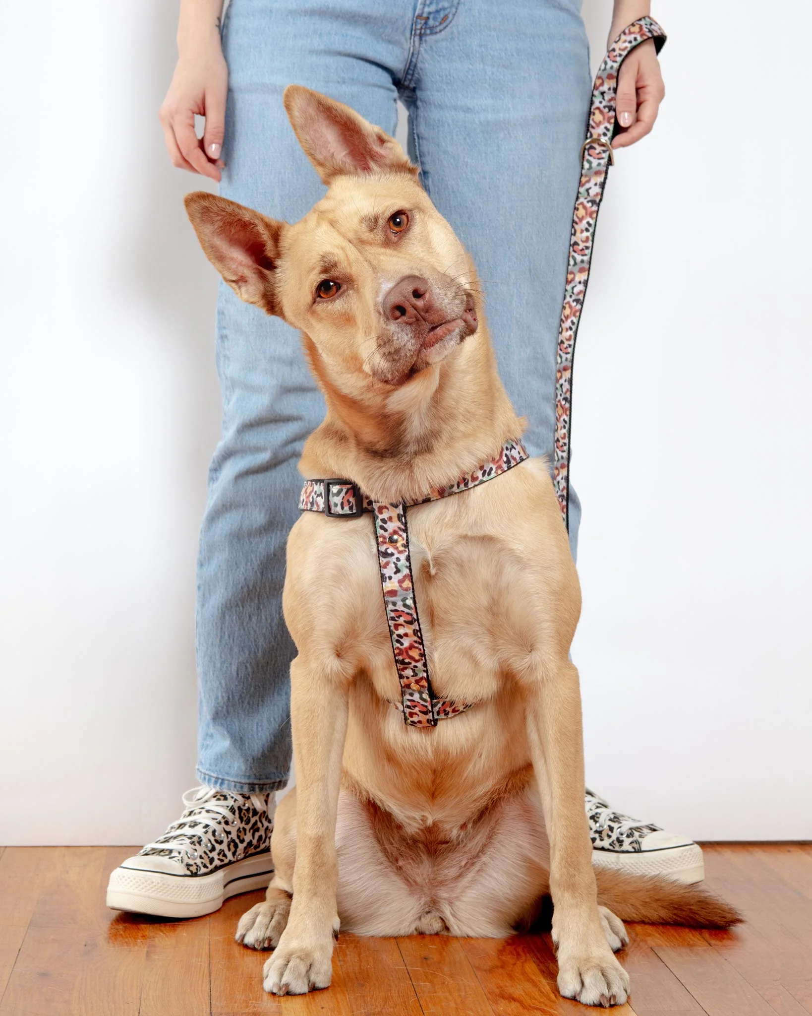 Camo Leopard Dog Leash (Made in NYC) - Image 4