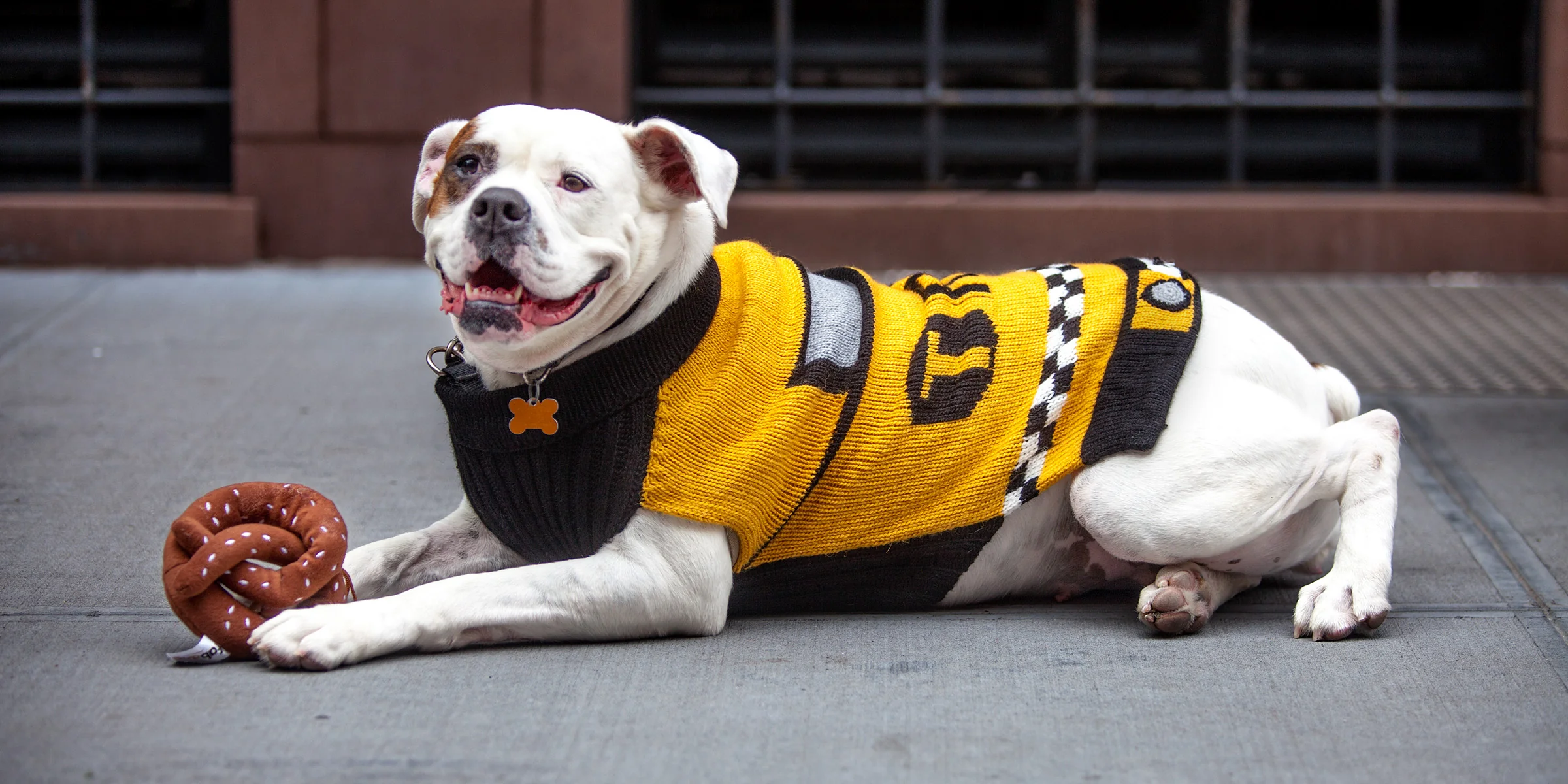 NYC Taxi Handknit Dog Sweater (Dog & Co. Exclusive) (FINAL SALE) - Image 11