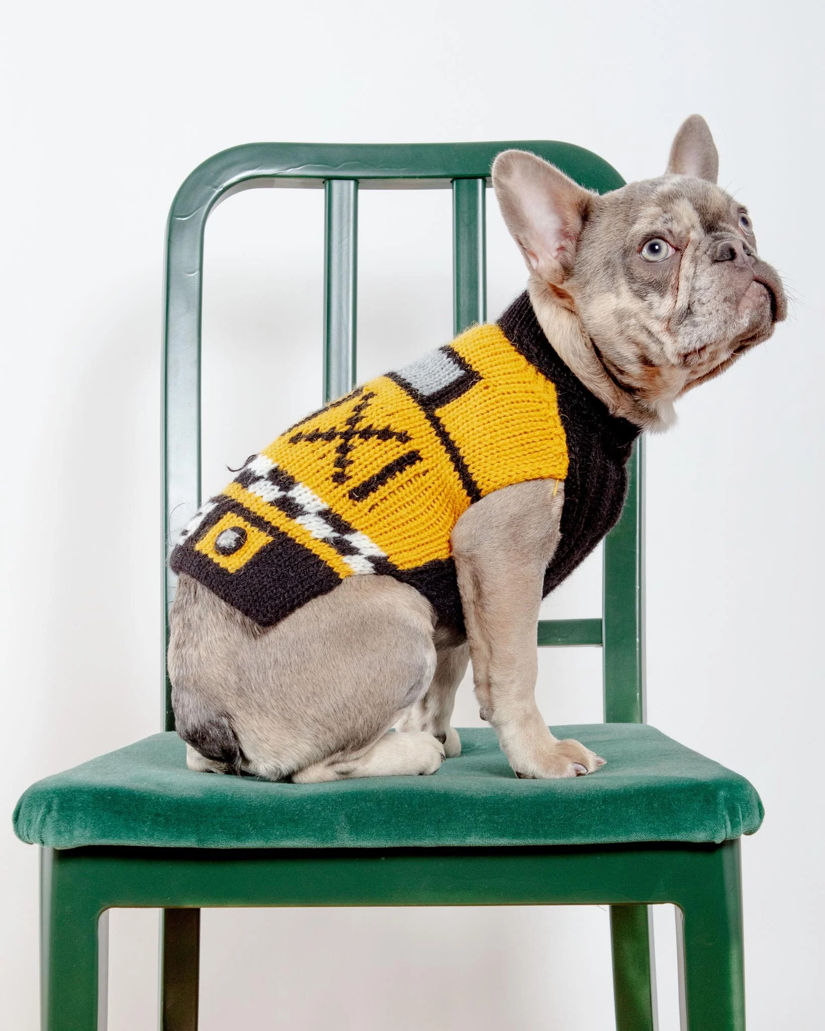 NYC Taxi Handknit Dog Sweater (Dog & Co. Exclusive) (FINAL SALE) - Image 2