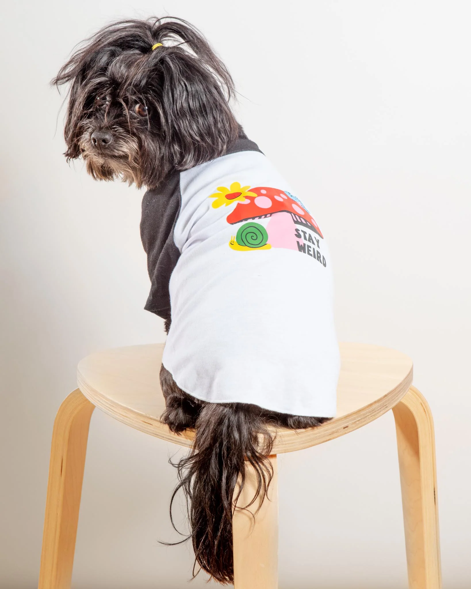 *Stay Weird* Graphic Dog T-Shirt - Image 3
